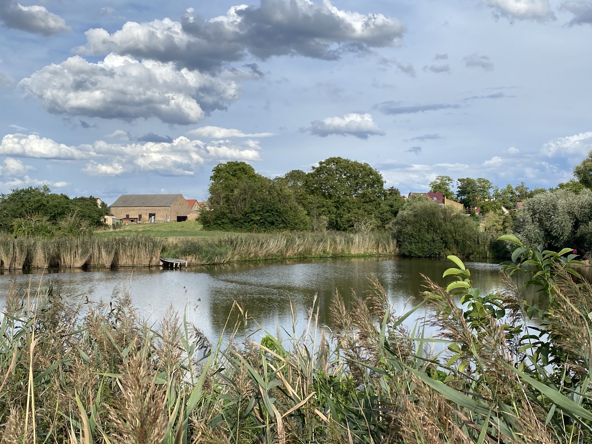 Mühlenteich