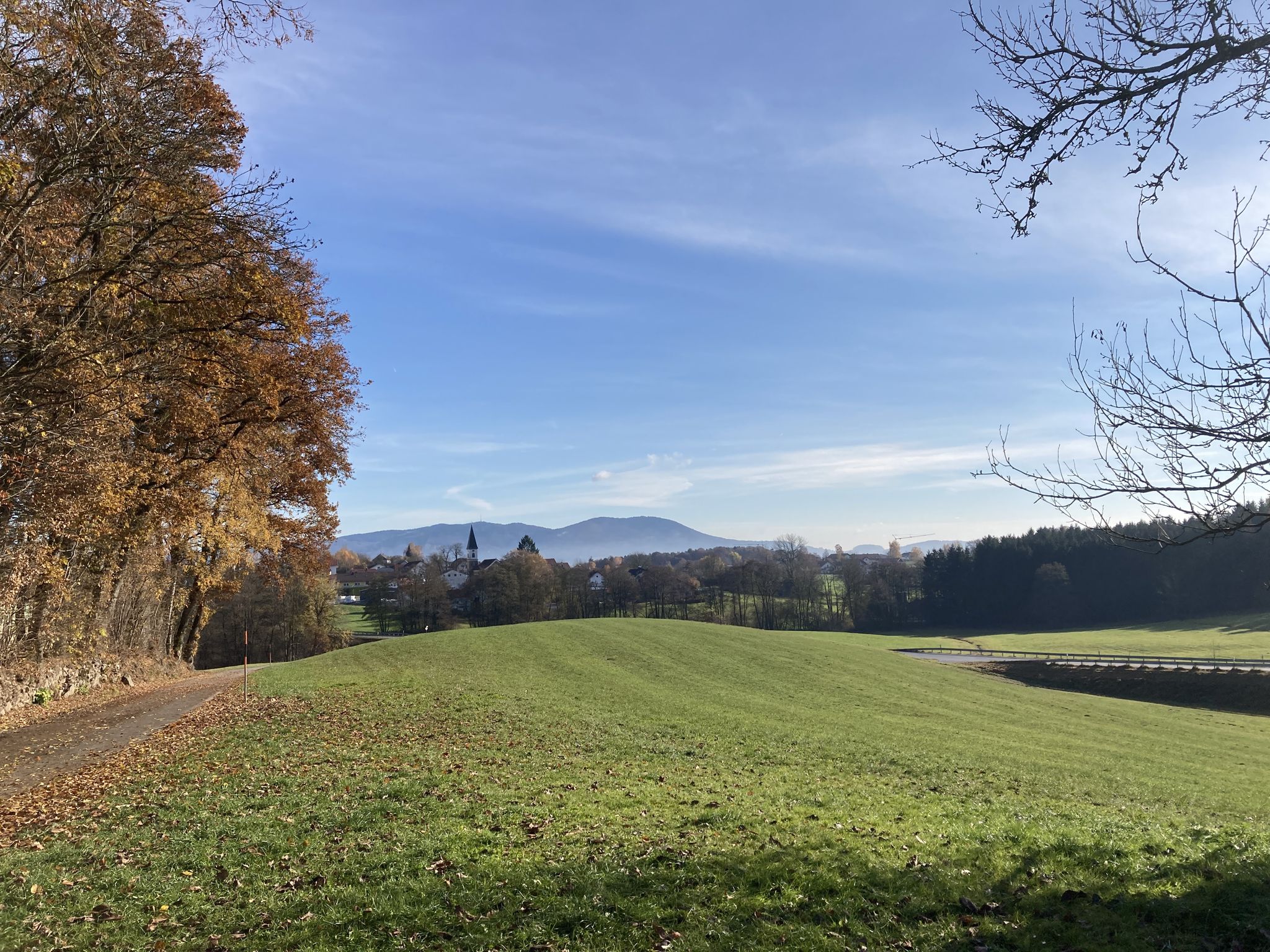 Blick auf Schaufling