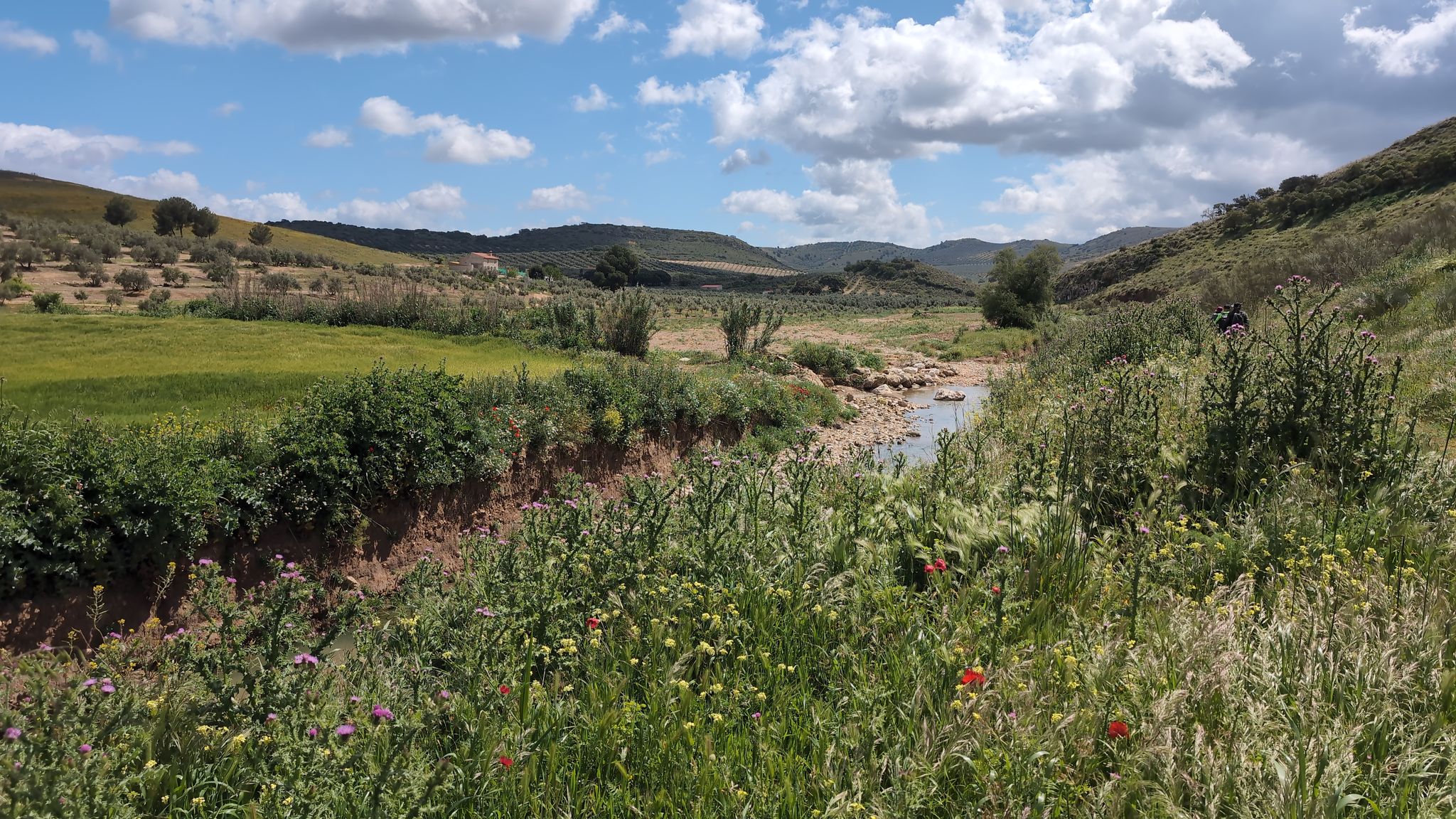 Río Venta