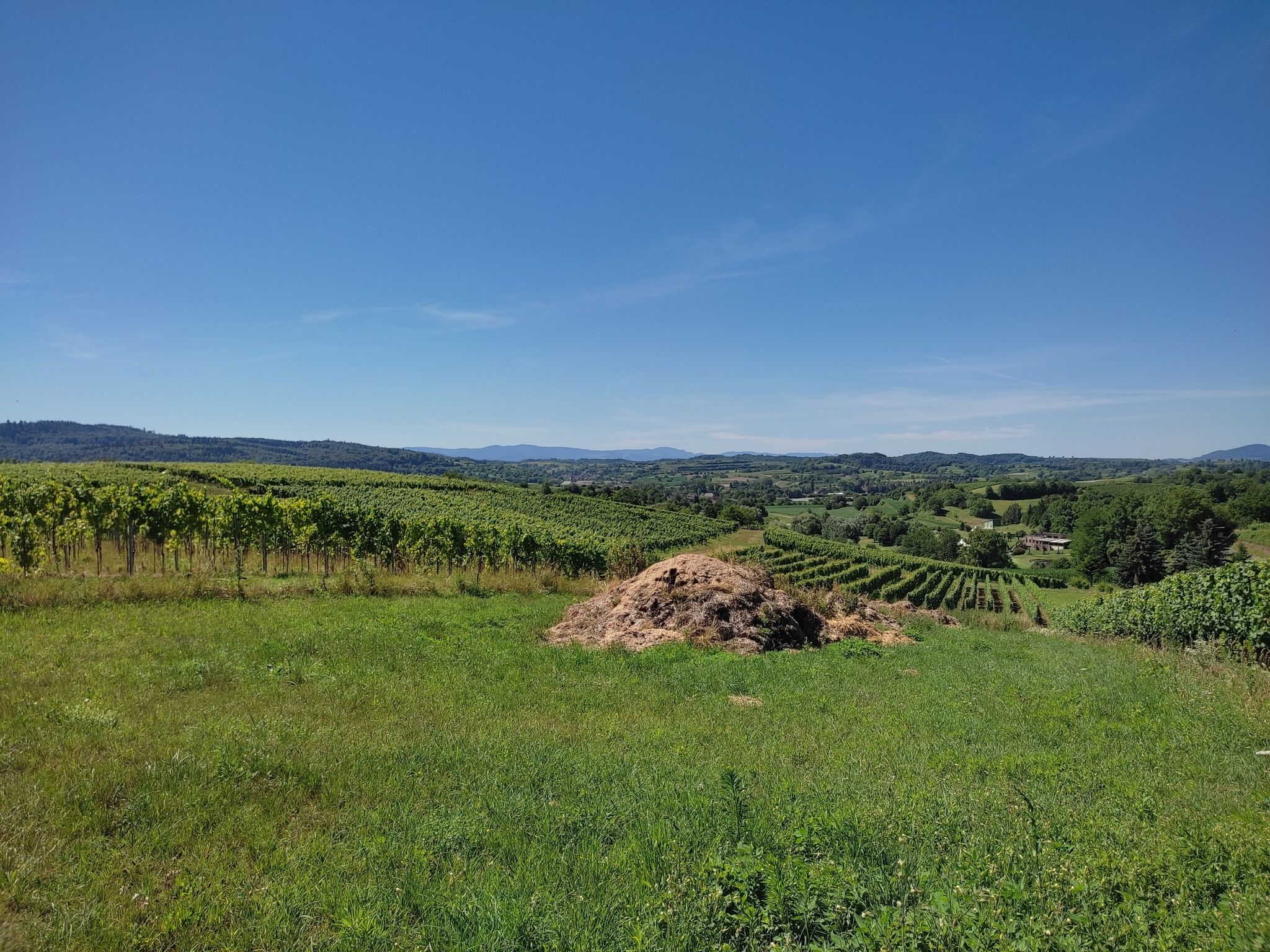 Aussicht