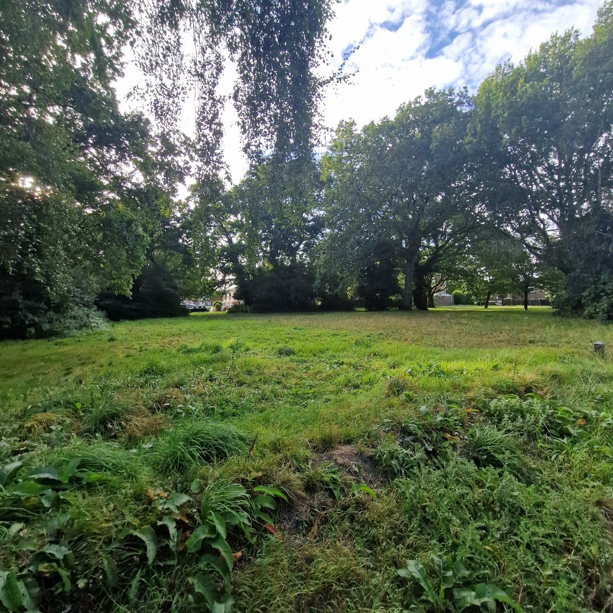 Just a patch of dirty grass. There's better to be found on this trail.