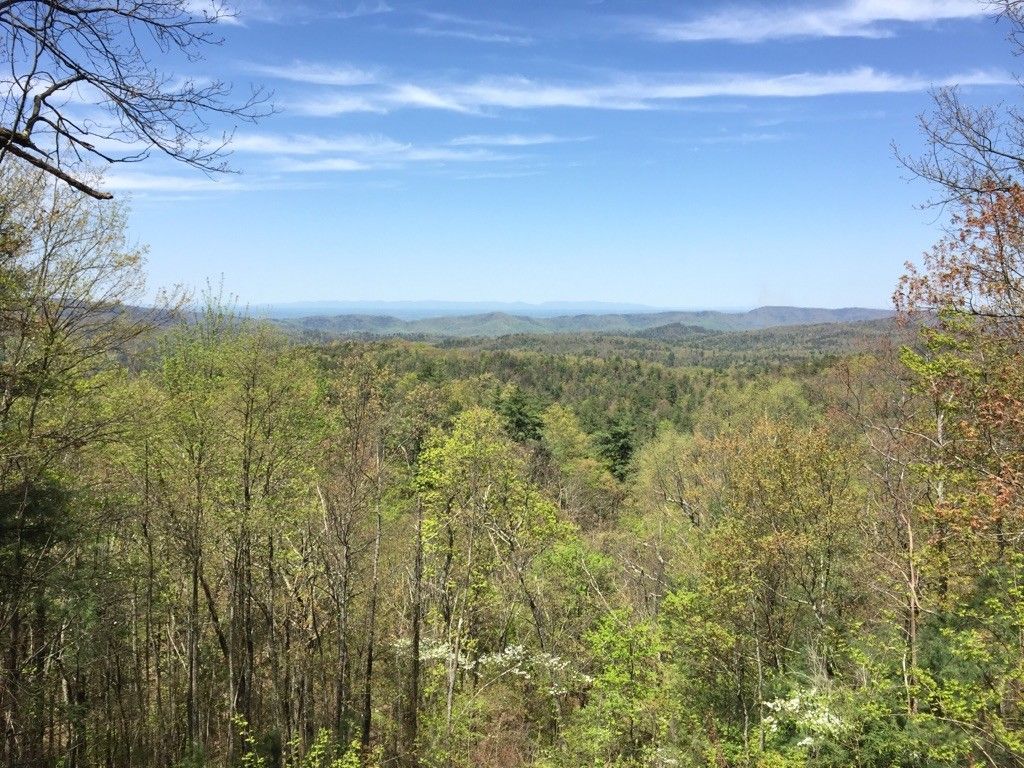 Expansive view of green forested mountains under a bright blue sky. - Rich Mountain Loop