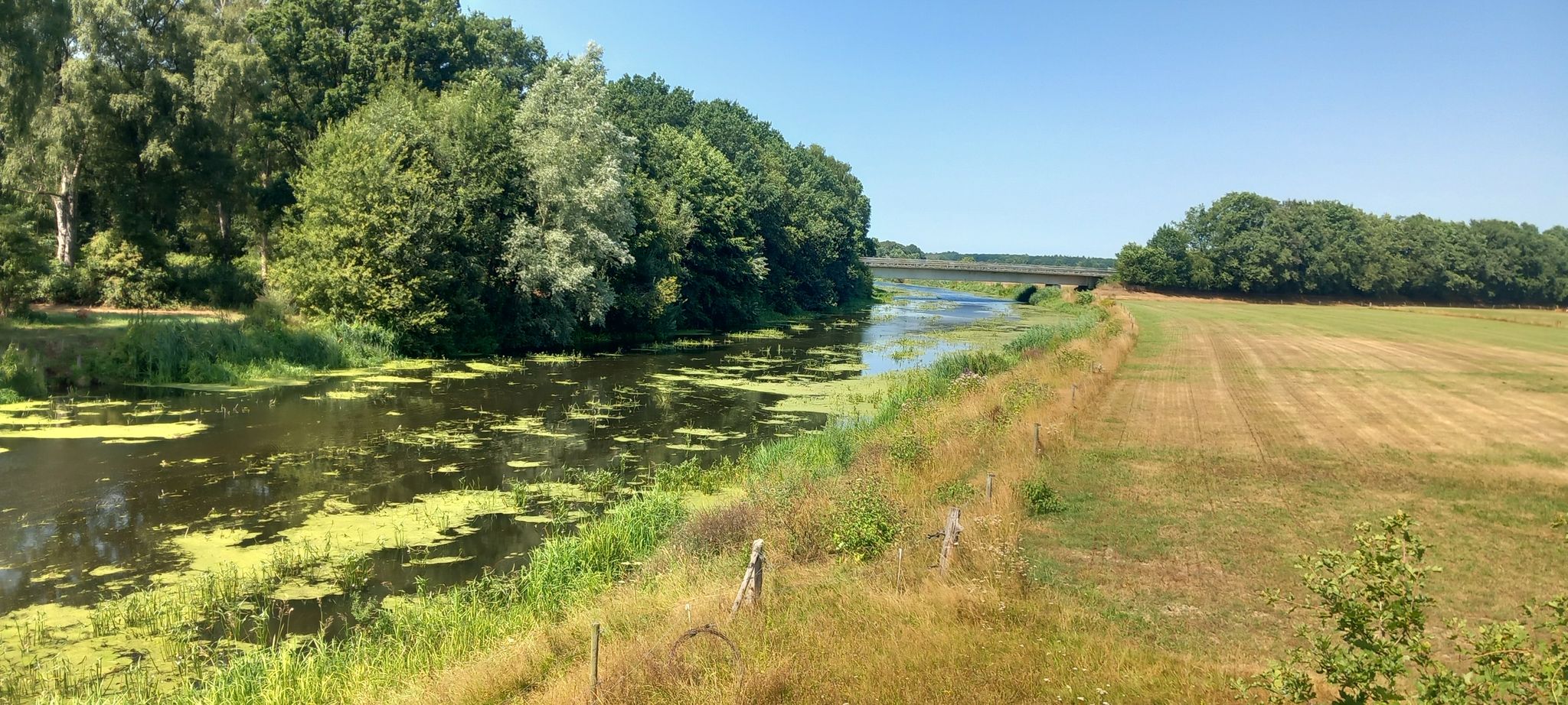 beneden Regg