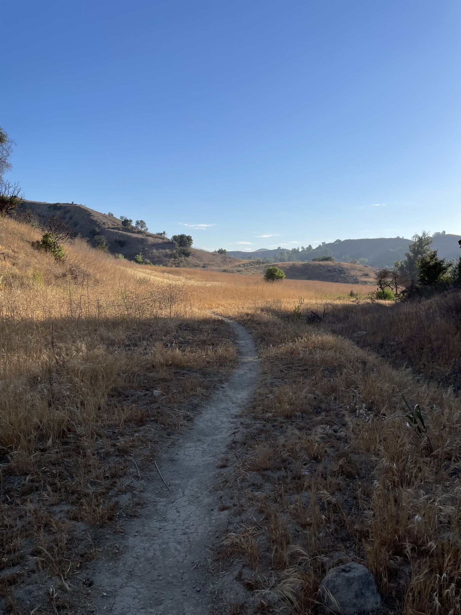 A dirt trail winds through a wide, sunlit field of dry grass. - Abrams Open Space – MRCA Open Space loop from Wallis Annenberg Wildlife Crossing