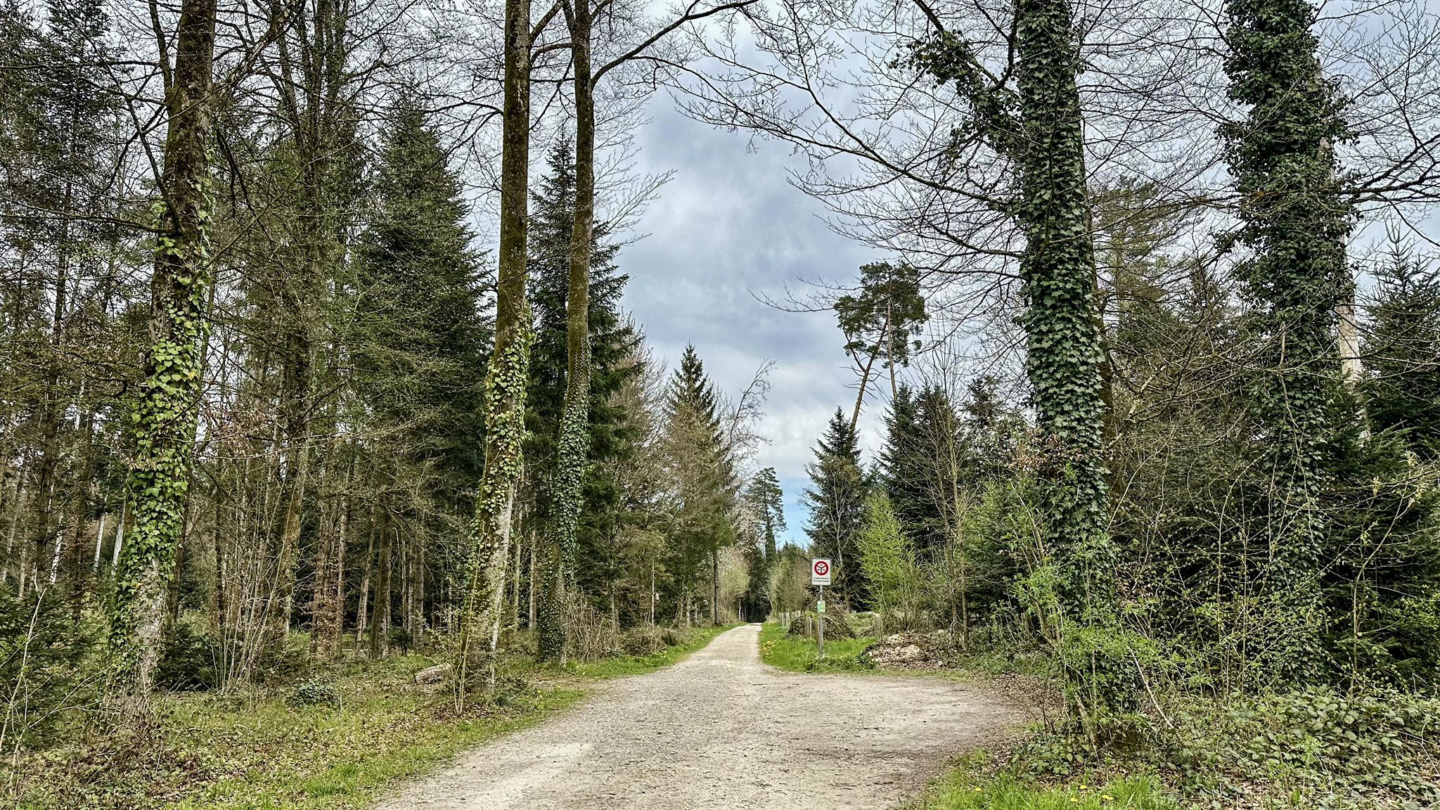 ...und gemütlich weiter Richtung Boningen😊...