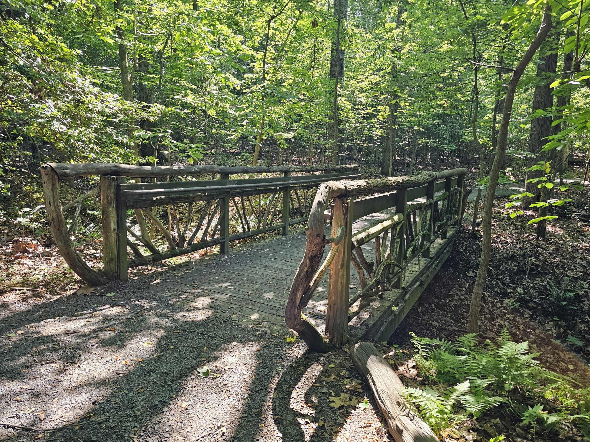 A rustic wooden bridge crosses a dirt path in a sunlit forest. - Walker Nature Center Loop