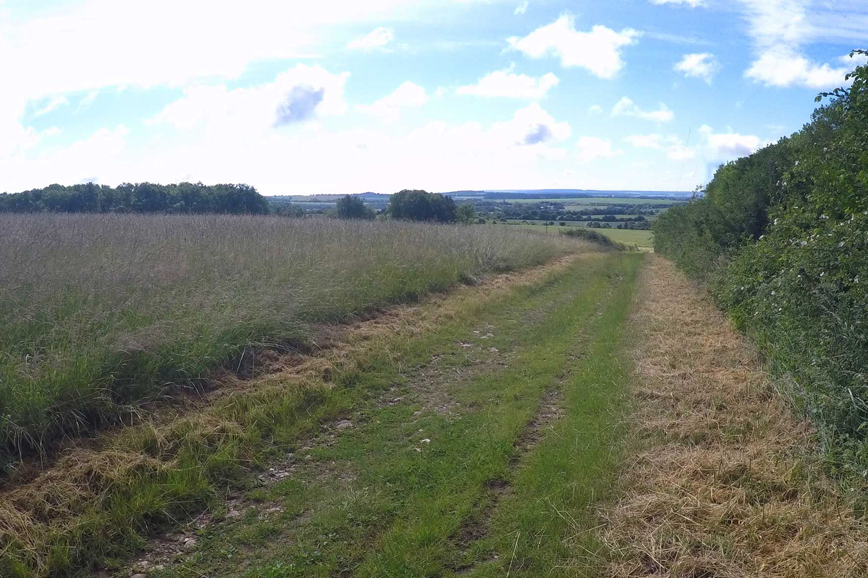Sortie de la forêt et vue vers Morogues.