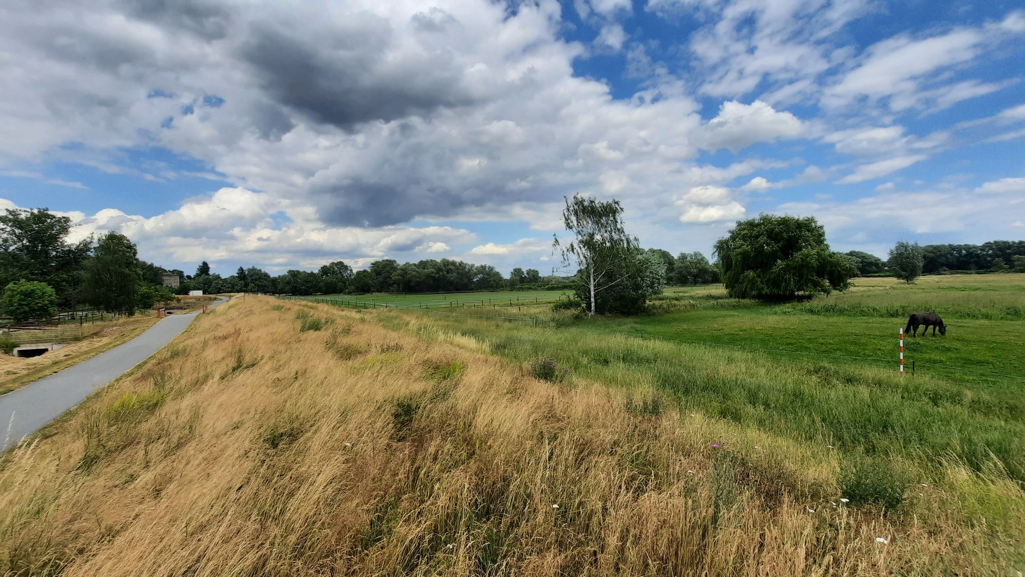 Neißewiesen bei Leuba