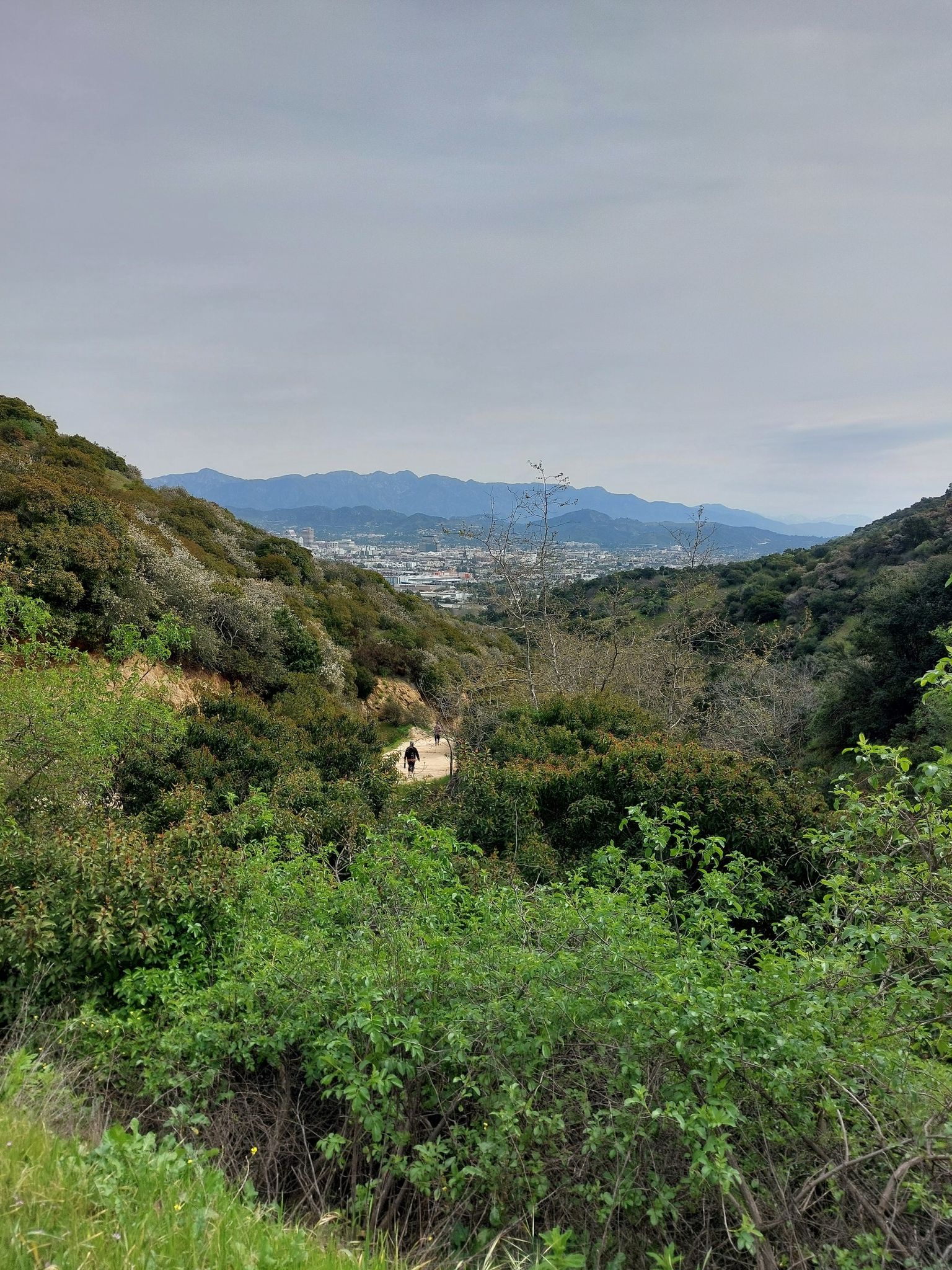 Lush green valley view with distant town and two people walking below. - Ladder to the Trail loop from Los Angeles Zoo
