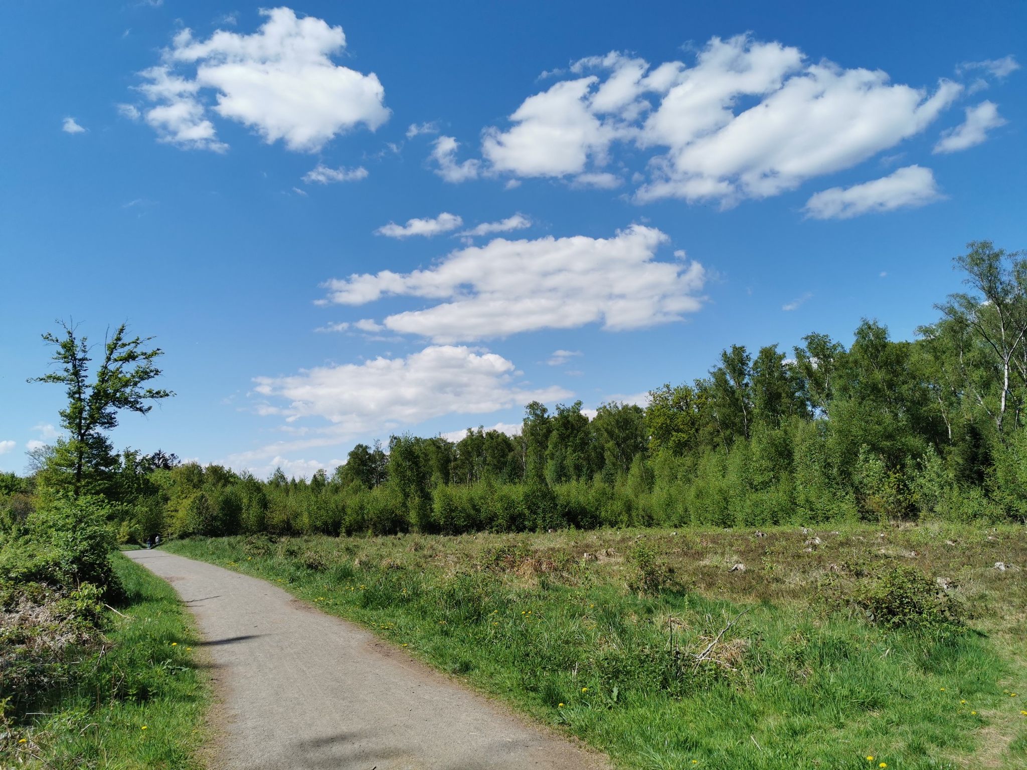Südliche Ohligser Heide