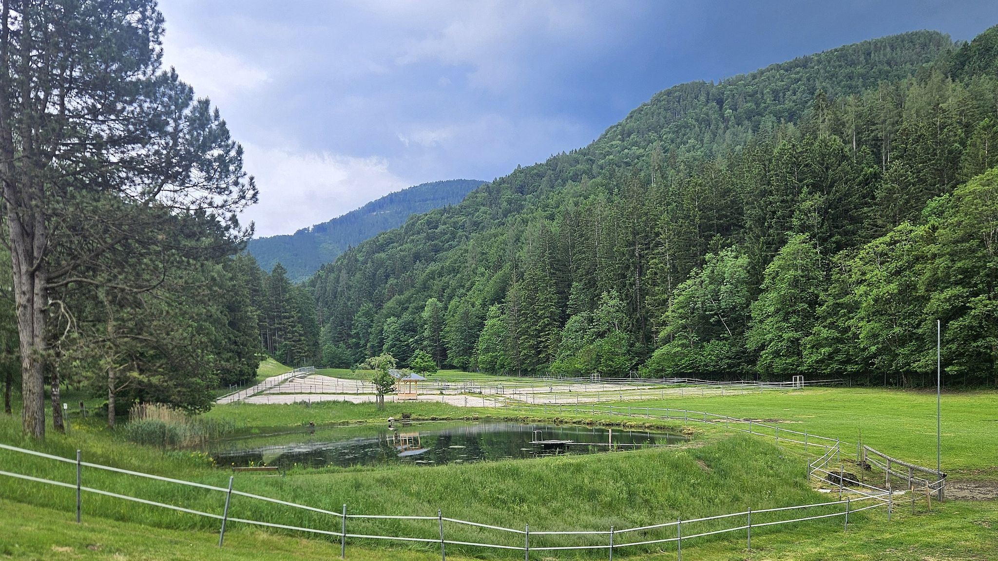 Teich am Reitergut Großtheuretzbach