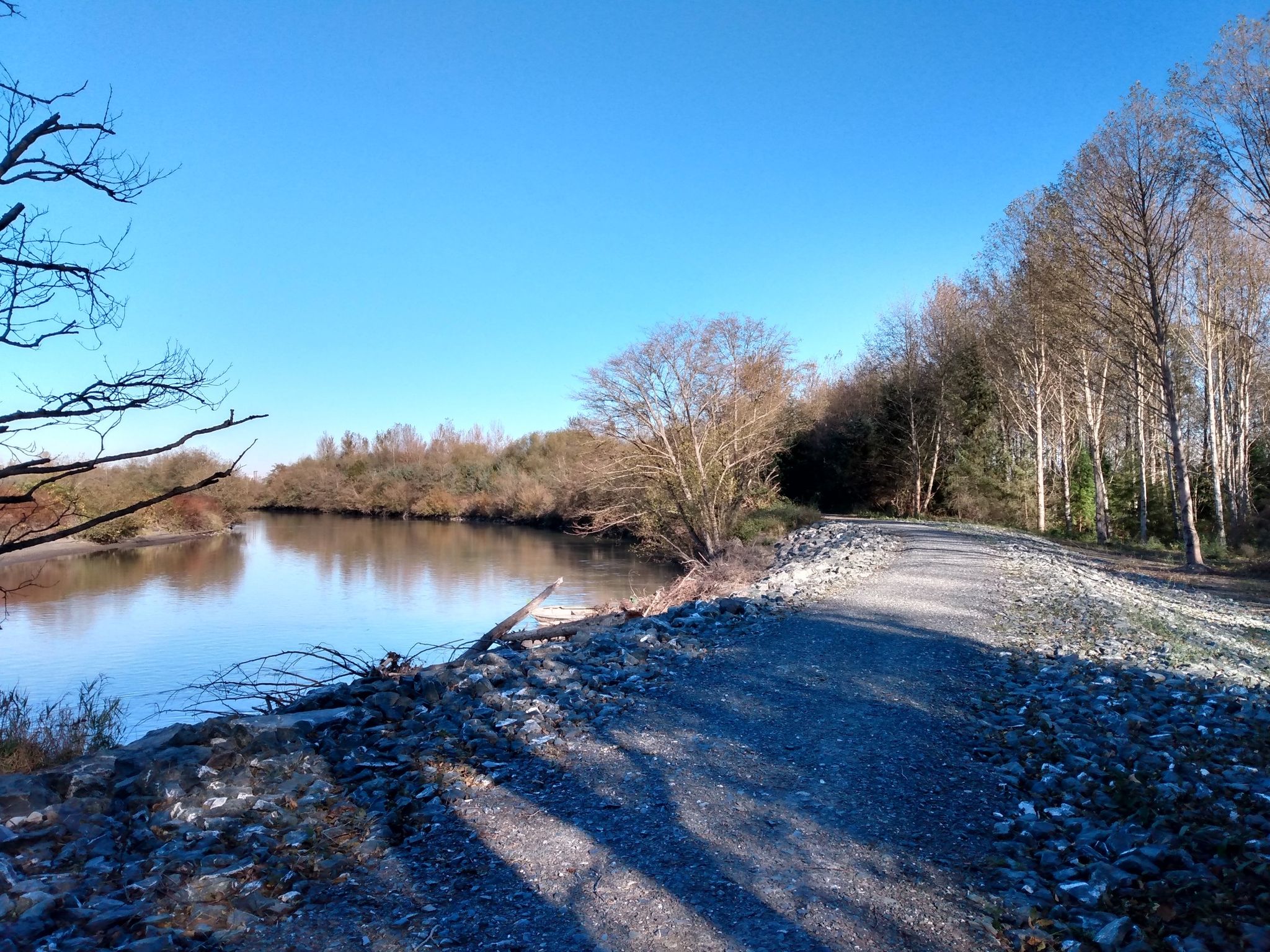 Sunny view of a calm river beside a gravel path and tall trees. - Hovander Park Trail – Nooksack Wildlife Area Trail loop from Ferndale