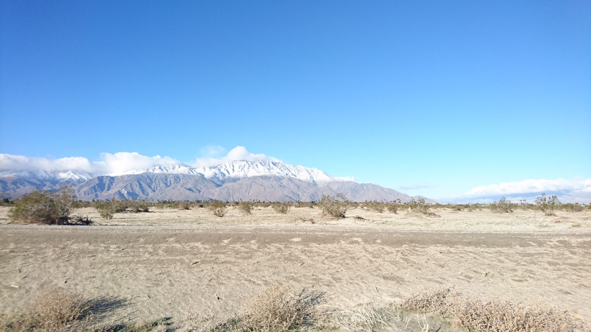 Arid desert landscape with sparse bushes and snow-capped mountains under a clear sky. - Palm Springs to Cathedral City loop