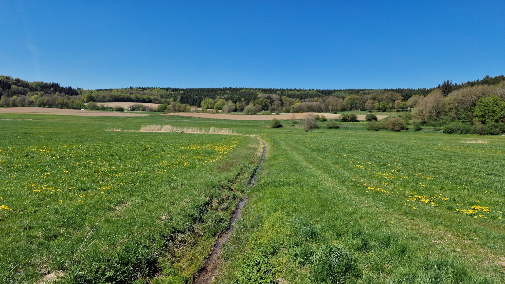 Schlachtfeld der Schlacht von Zusmarshausen (17.05.1648)