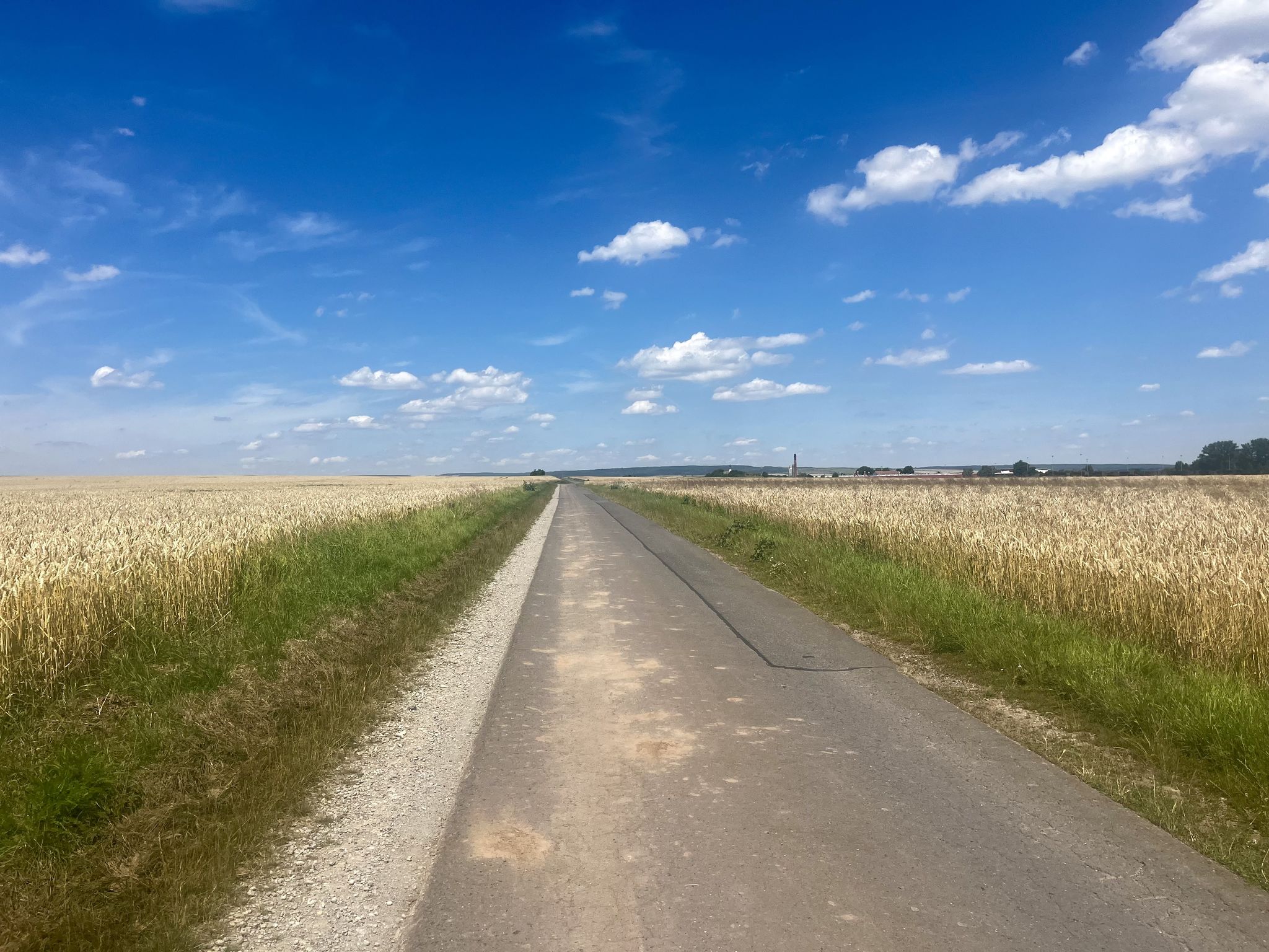 Radweg Seebach - Höngeda🚴‍♂️