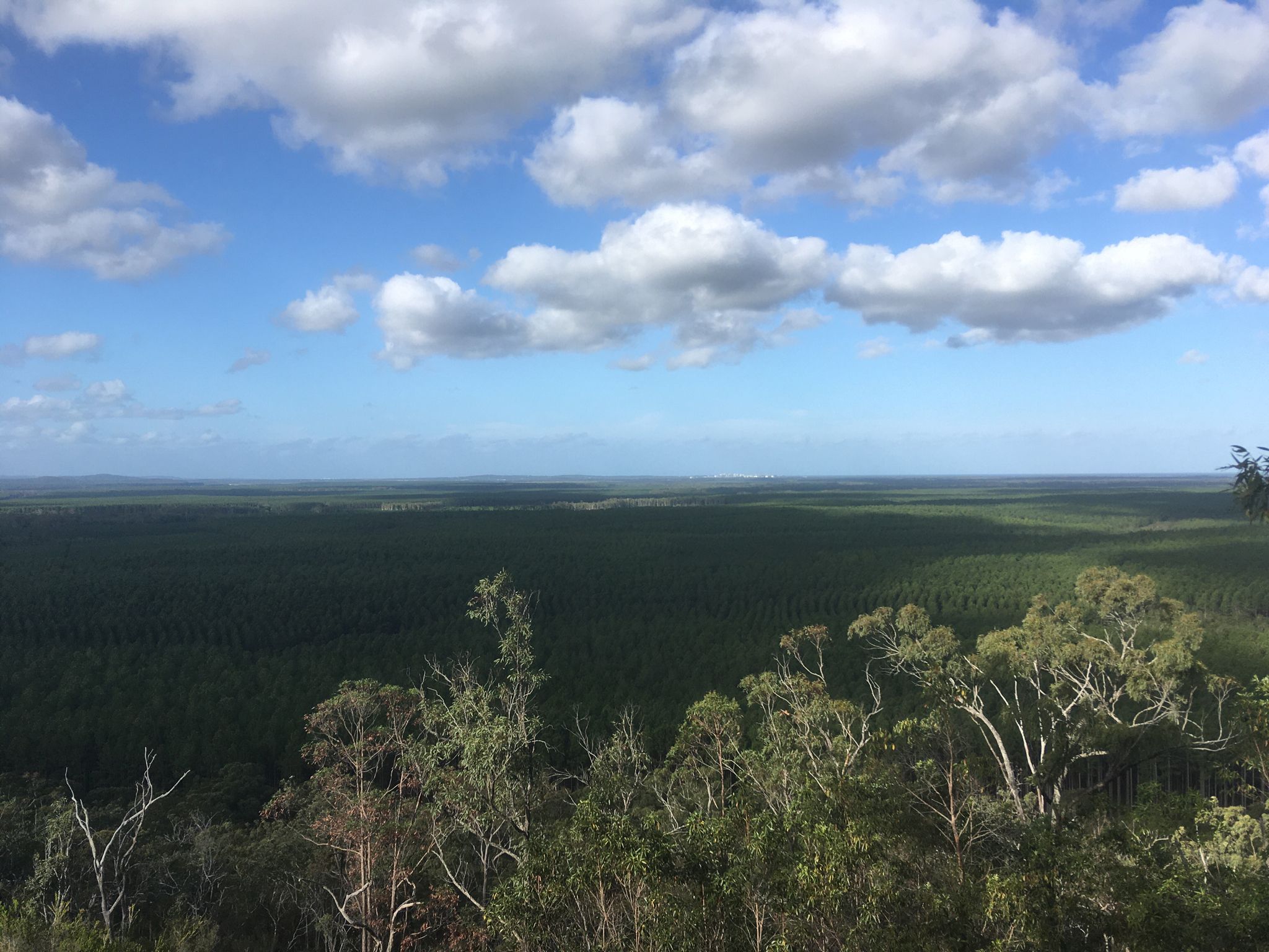 Brisbane Skyline on the very far horizon