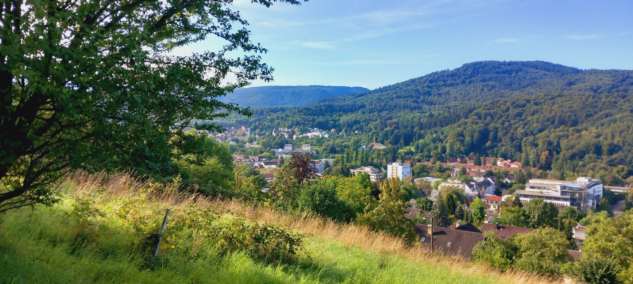 Aussicht auf Baden-Baden