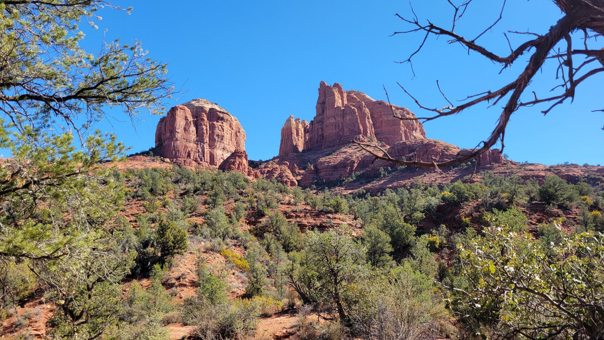 Red rock formations under a clear blue sky, framed by green trees. - Baldwin Loop Trail