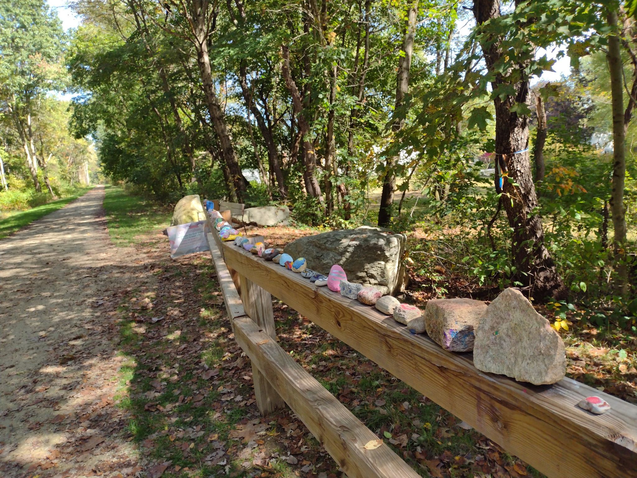 Wooden fence adorned with colorful painted rocks along a sunny path. - Franklin State Forest loop from Peters River Park
