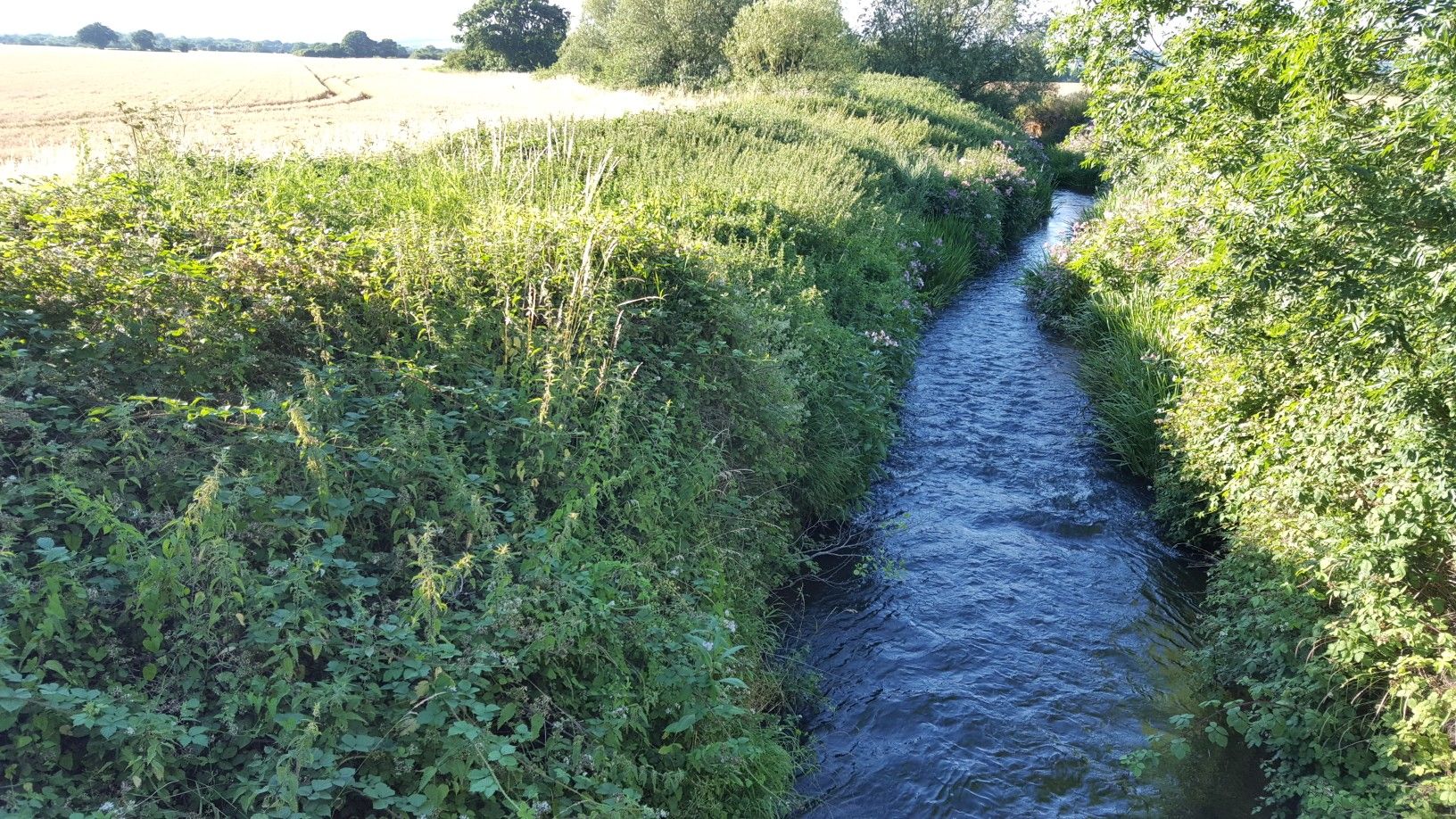 River Lesser Teise