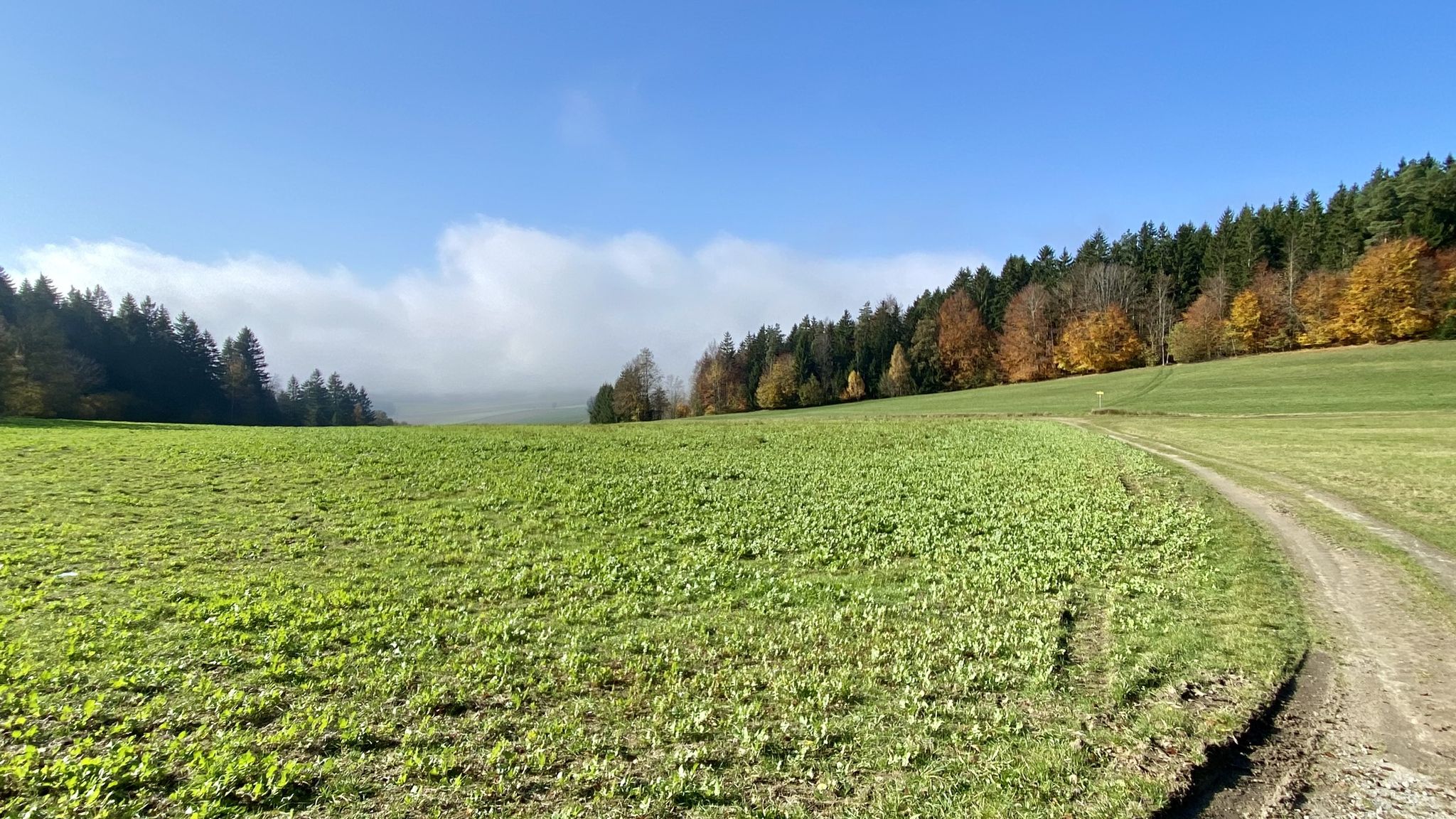 nach Lichtenau unten im Nebel