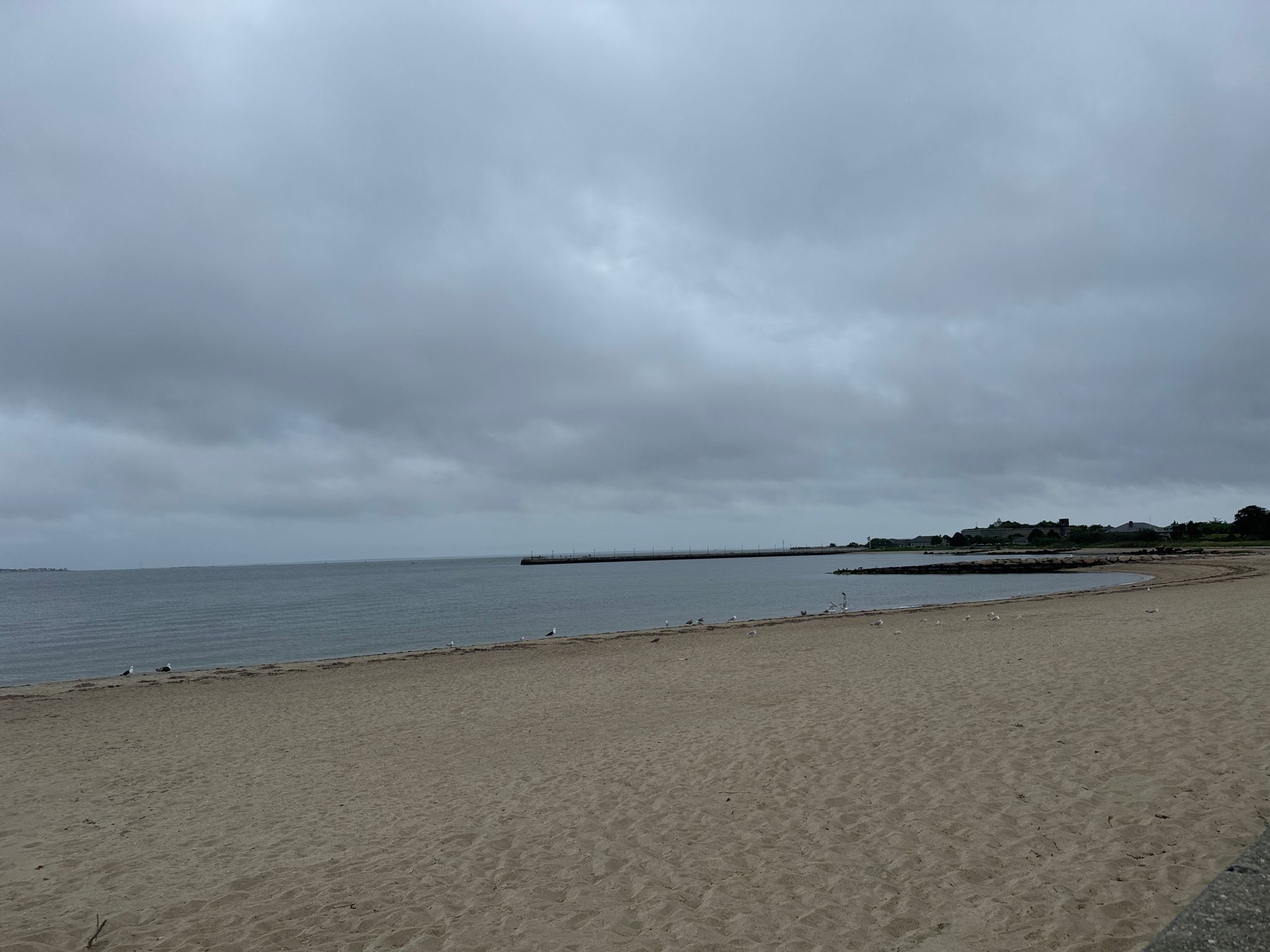 A wide sandy beach meets calm ocean water under an overcast sky. - East Beach loop from New Bedford