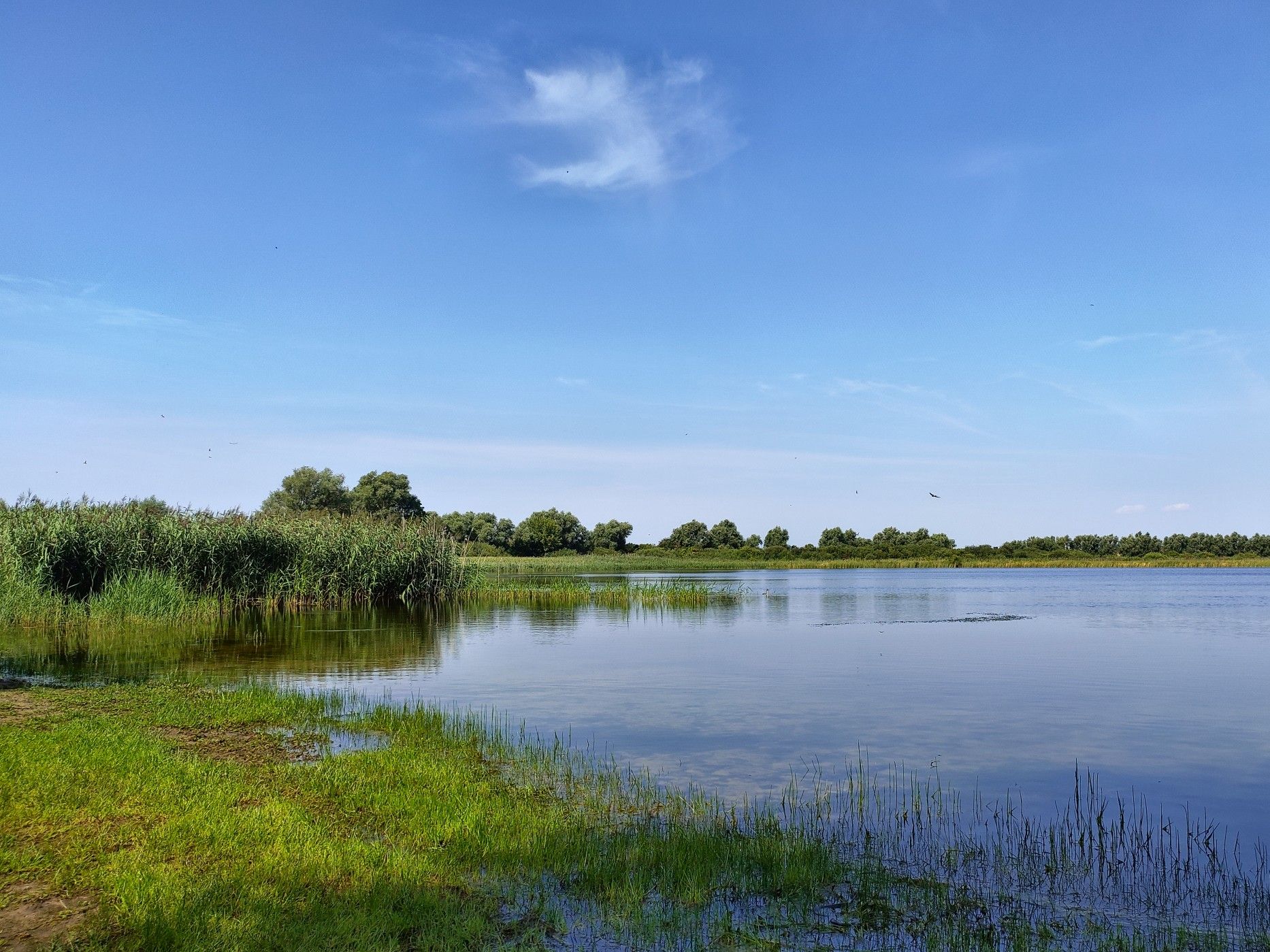 Blankenburger See - Naturbadestelle