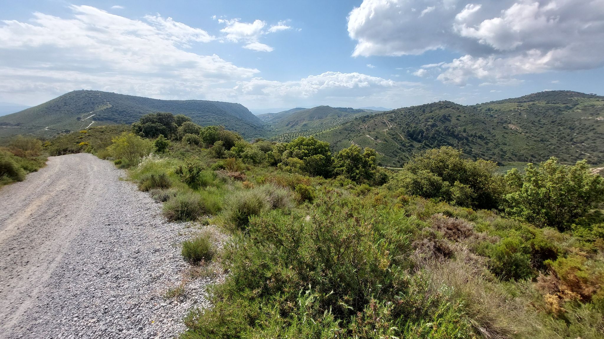 Cerro del sol, llano perdiz (izq), cerro S Miguel, Pajarito, de los Pinos