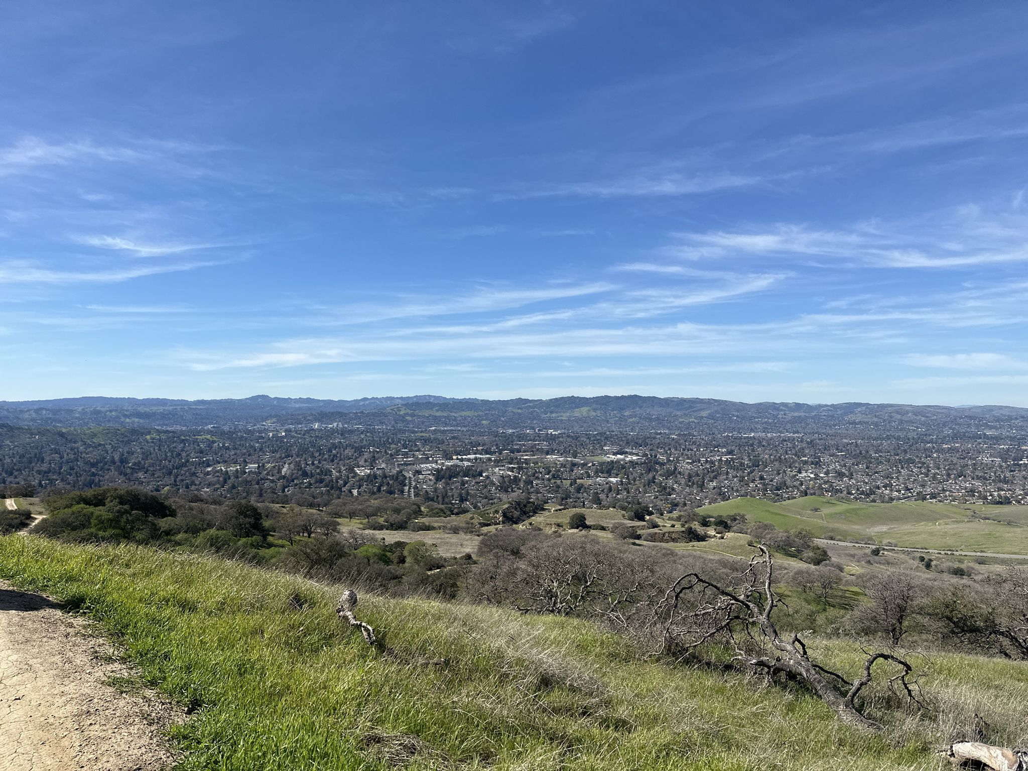 Wide view of a distant city from a grassy hill under a blue sky. - Savannah and Ohlone Trail Loop
