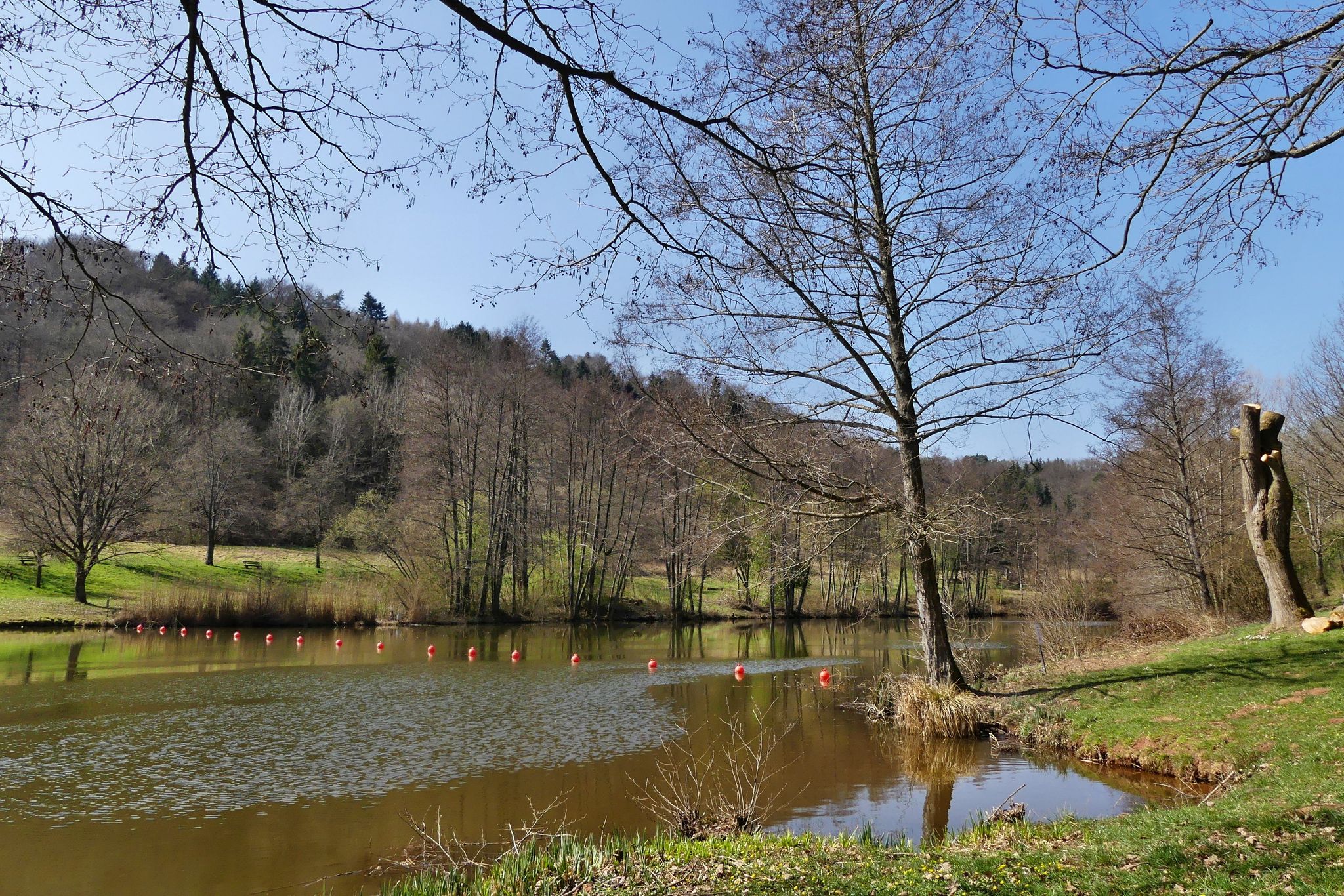 Silzer See