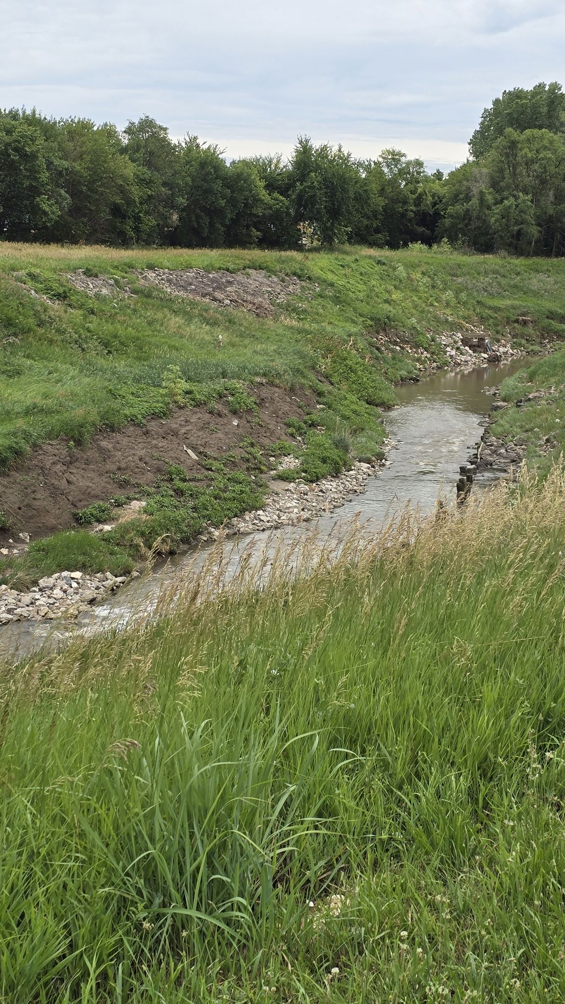 A narrow stream flows through grassy banks under an overcast sky. - Hastings Banner Park – Big Papio Trail loop from Bellevue Second I Precinct