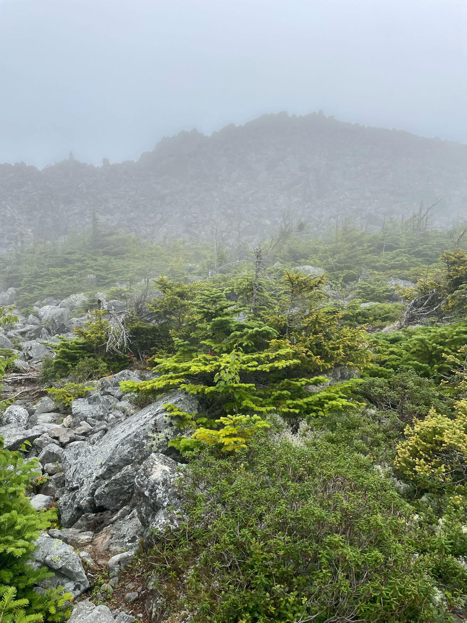 A foggy, rocky mountain landscape with low green shrubs and distant obscured peaks. - Spaulding Mountain via Mount Abraham and Appalachian Trail