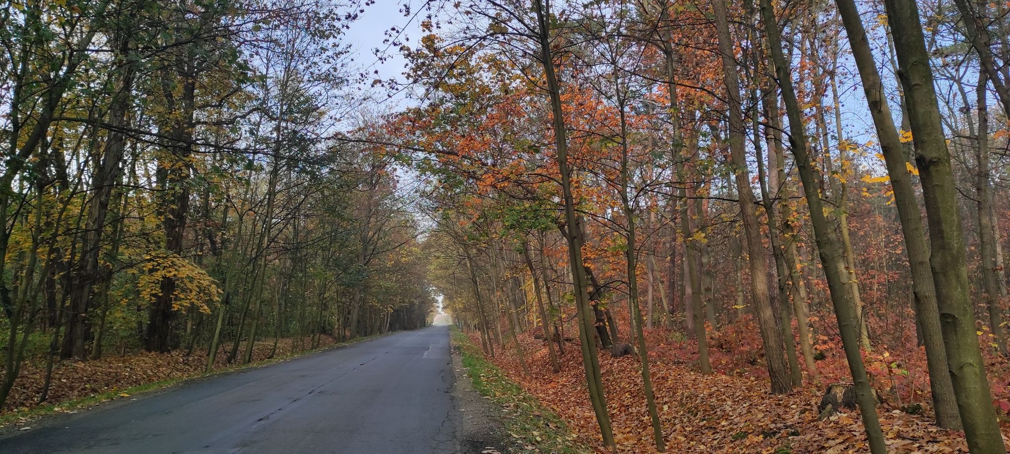beautiful road