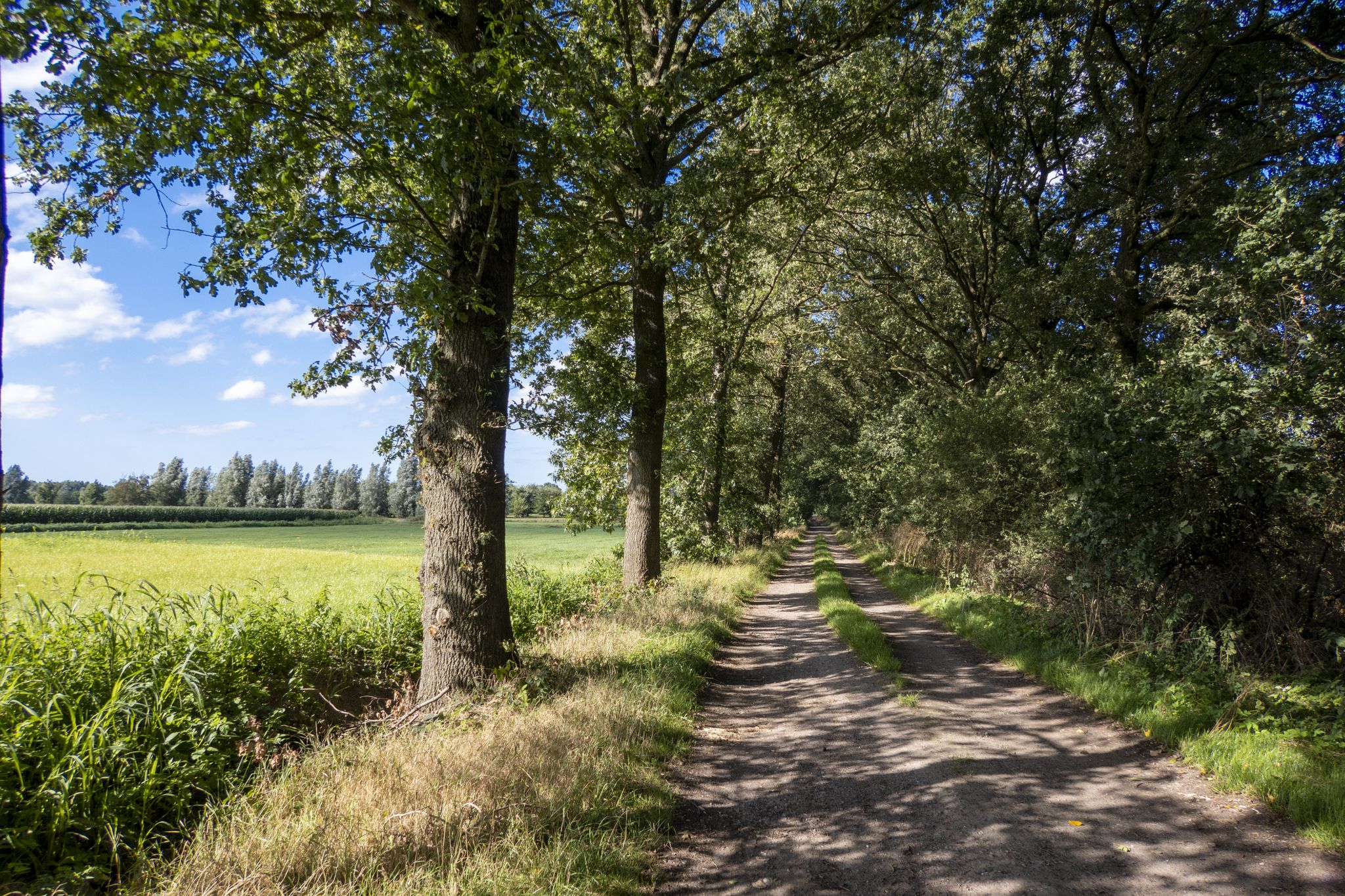 Via een mooie dreef naar het Maldegemveld bij Knesselare