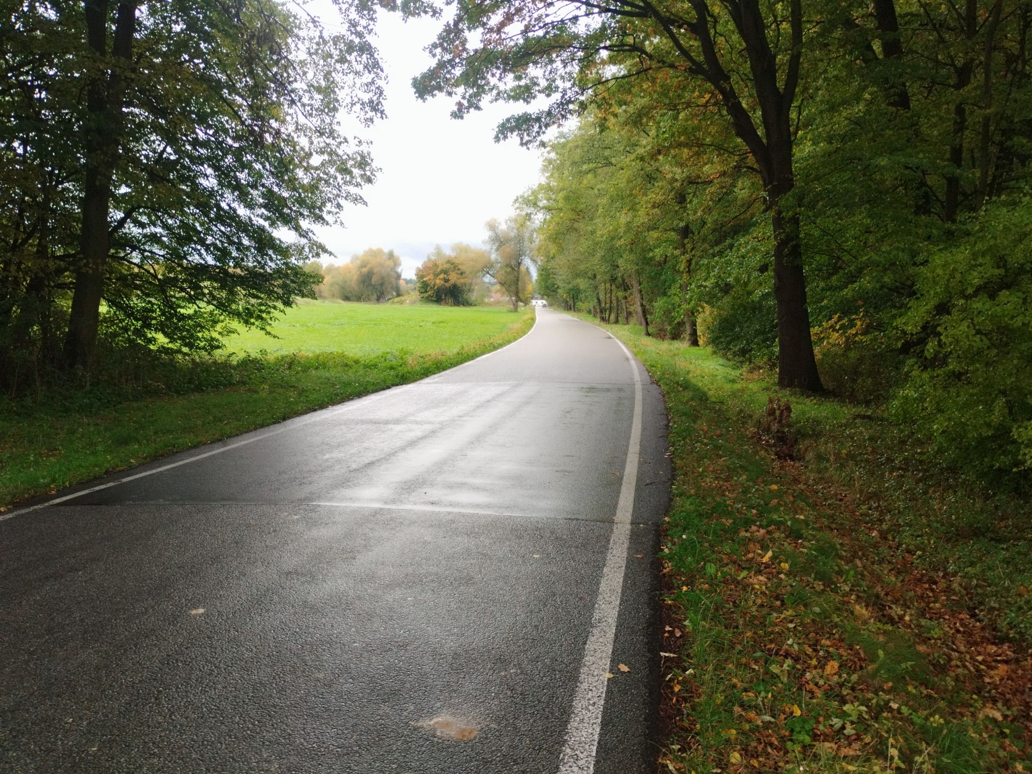 Straße und Radroute 12
