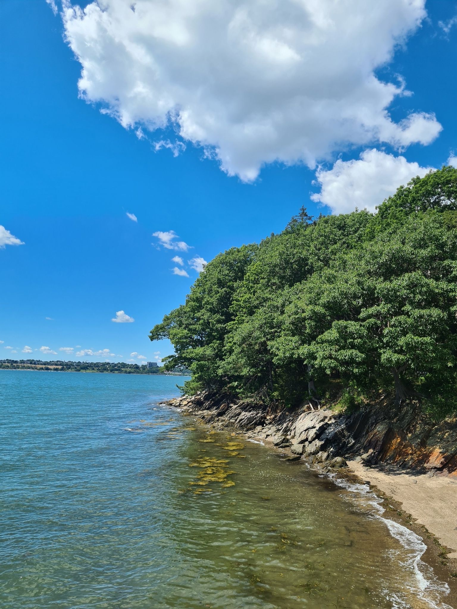 Bright sunny day over a rocky coastline with dense green trees and calm blue water. - Mackworth Island Trail