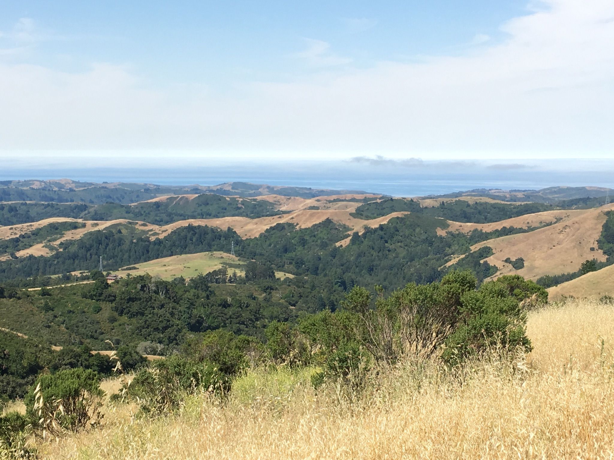 Rolling green and golden hills meet the distant ocean under a blue sky. - Alpine Road, Sweet Springs, and Deer Path Loop
