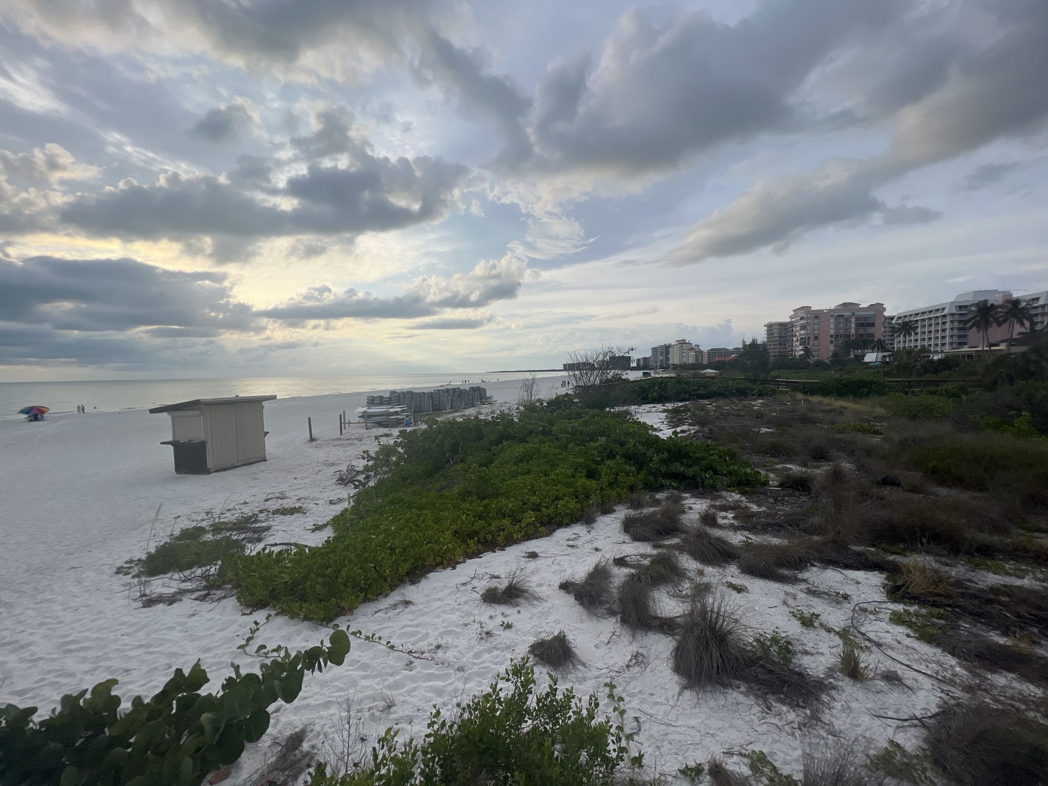 Overcast beach scene with sand, coastal plants, and distant buildings. - Marco Island loop