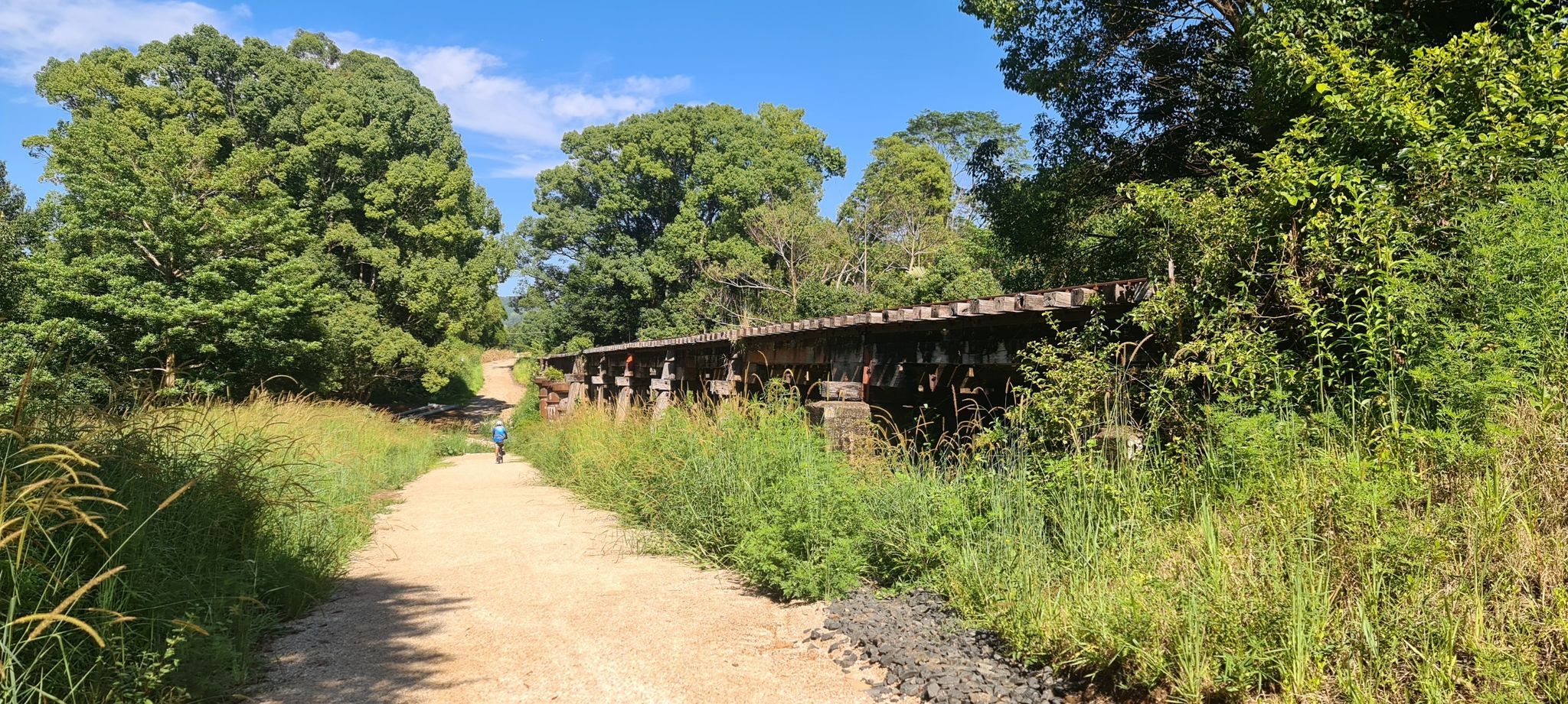 Rail Bridge