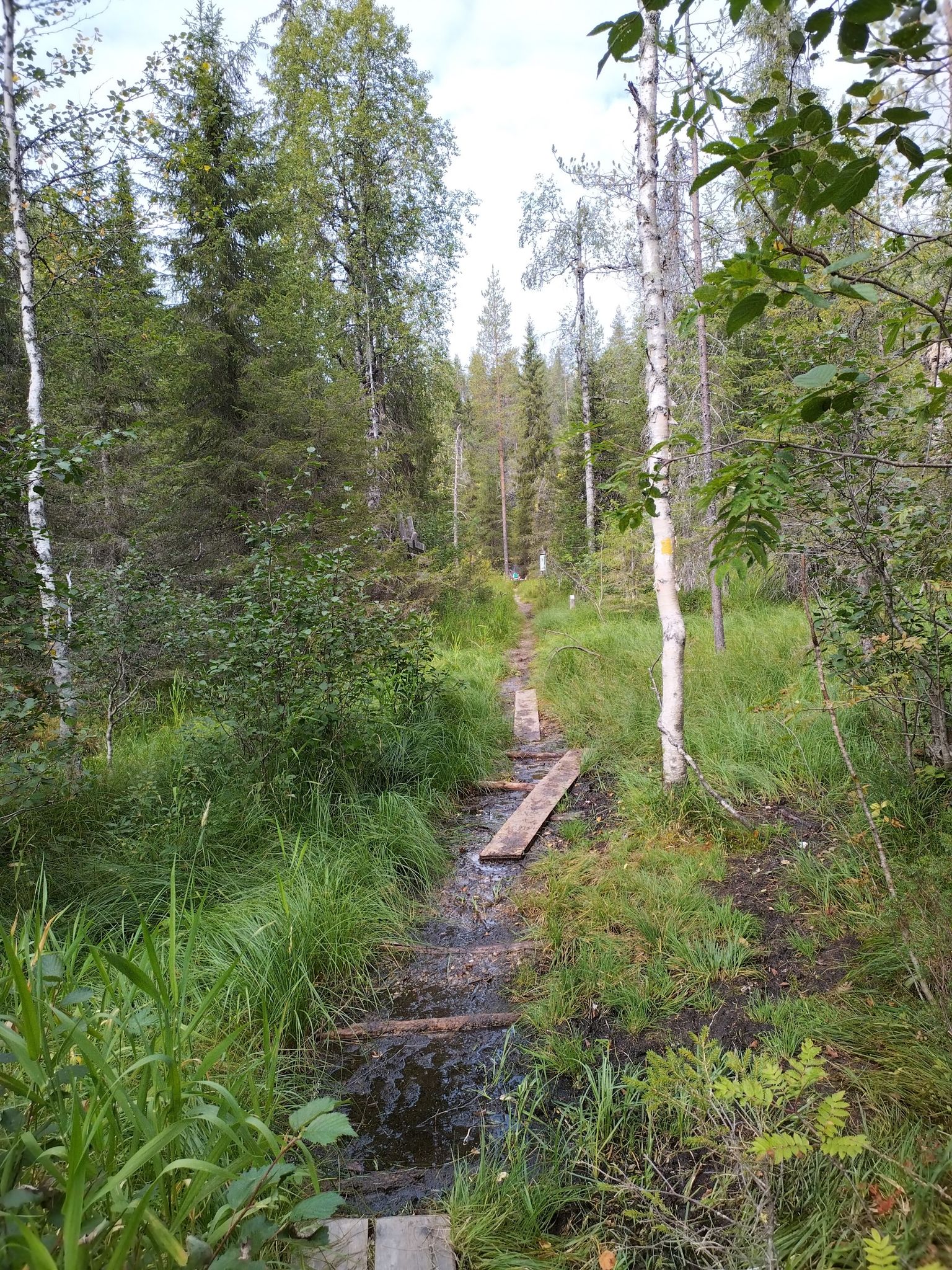 towards the lavuu