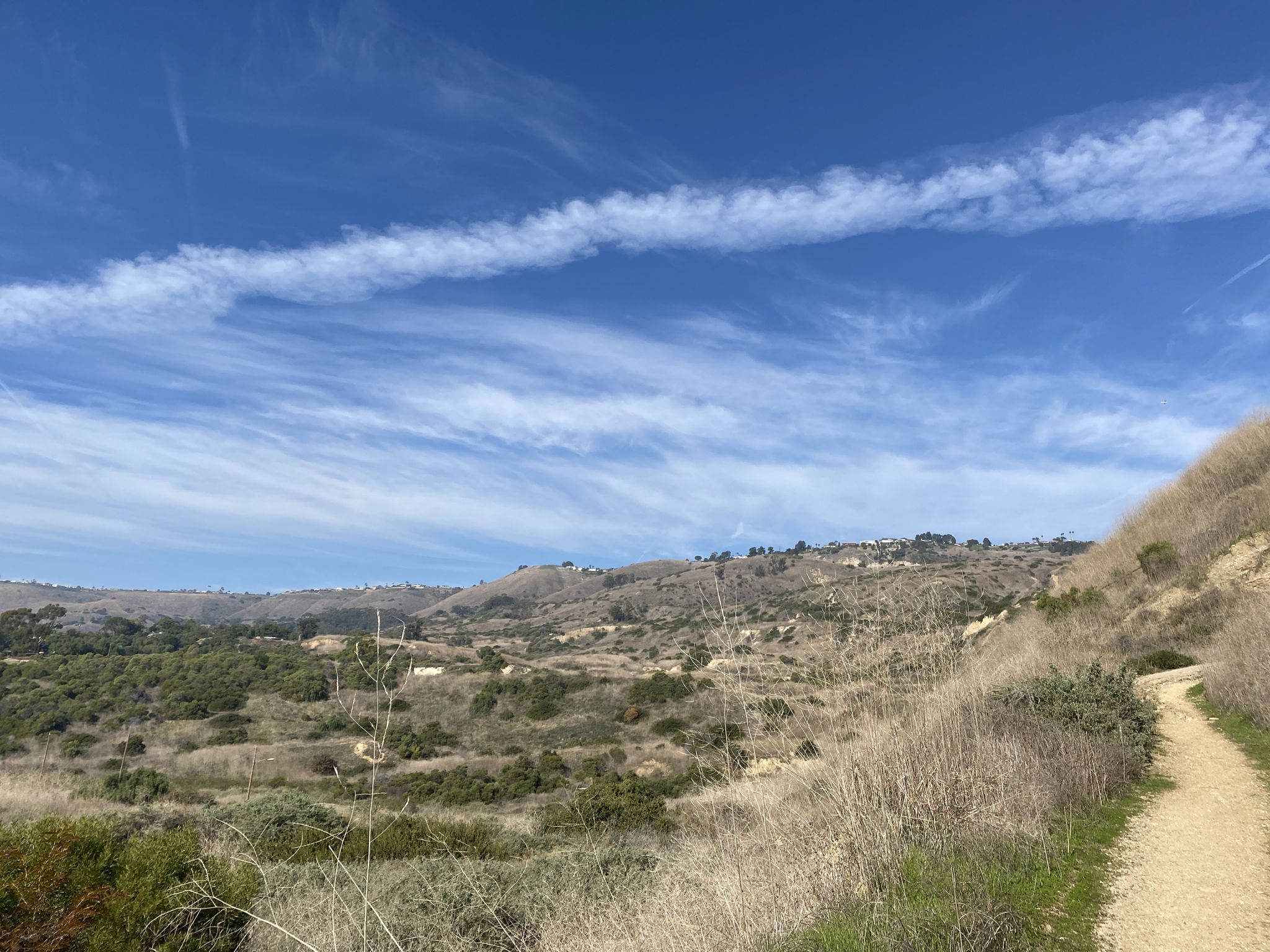 Dirt path winding through dry hills under a bright blue sky. - Forrestal Reserve loop from Rancho Palos Verdes