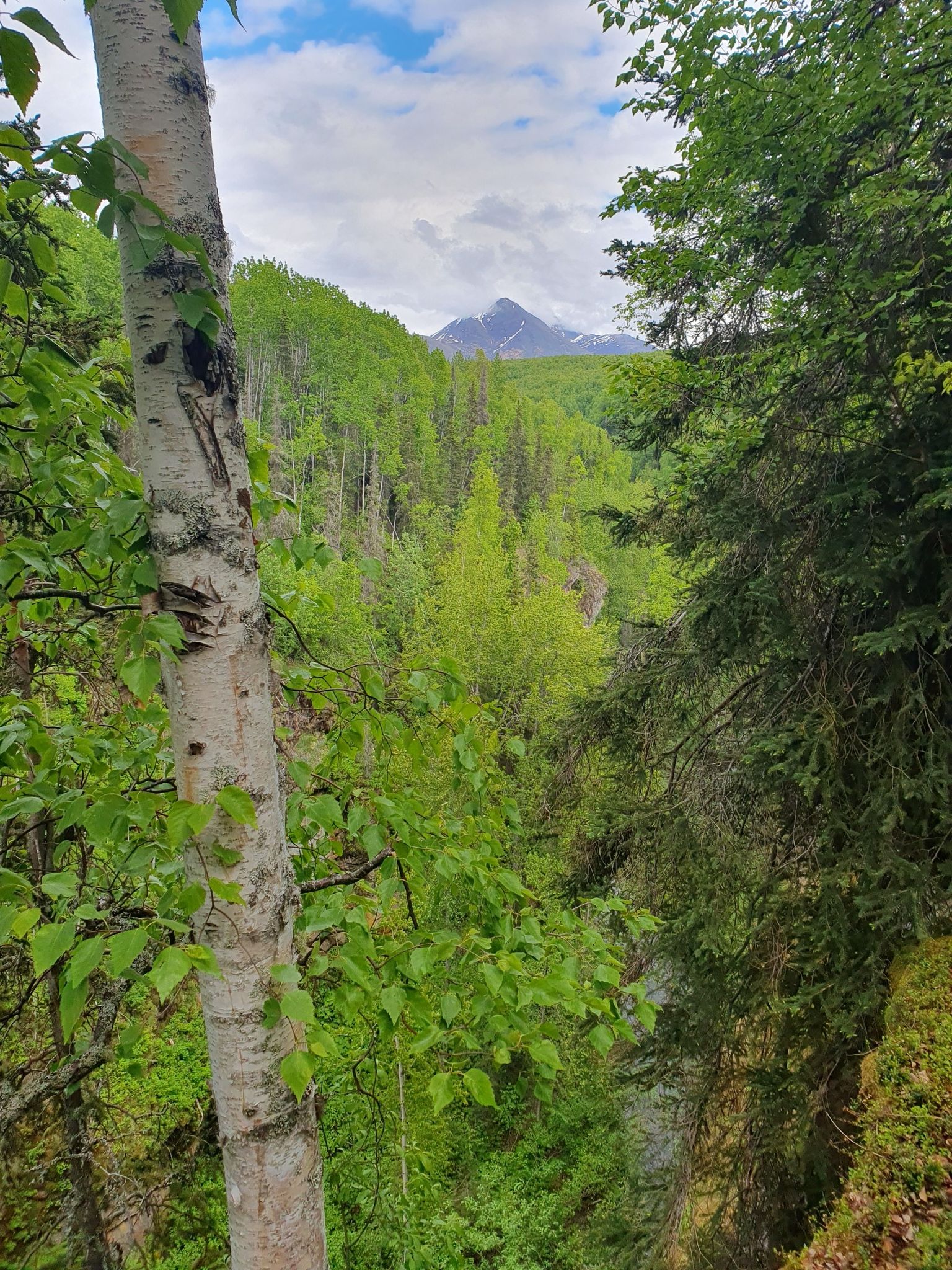 Lush green valley with a distant mountain peak under a cloudy sky. - Thunderbird Falls Trail
