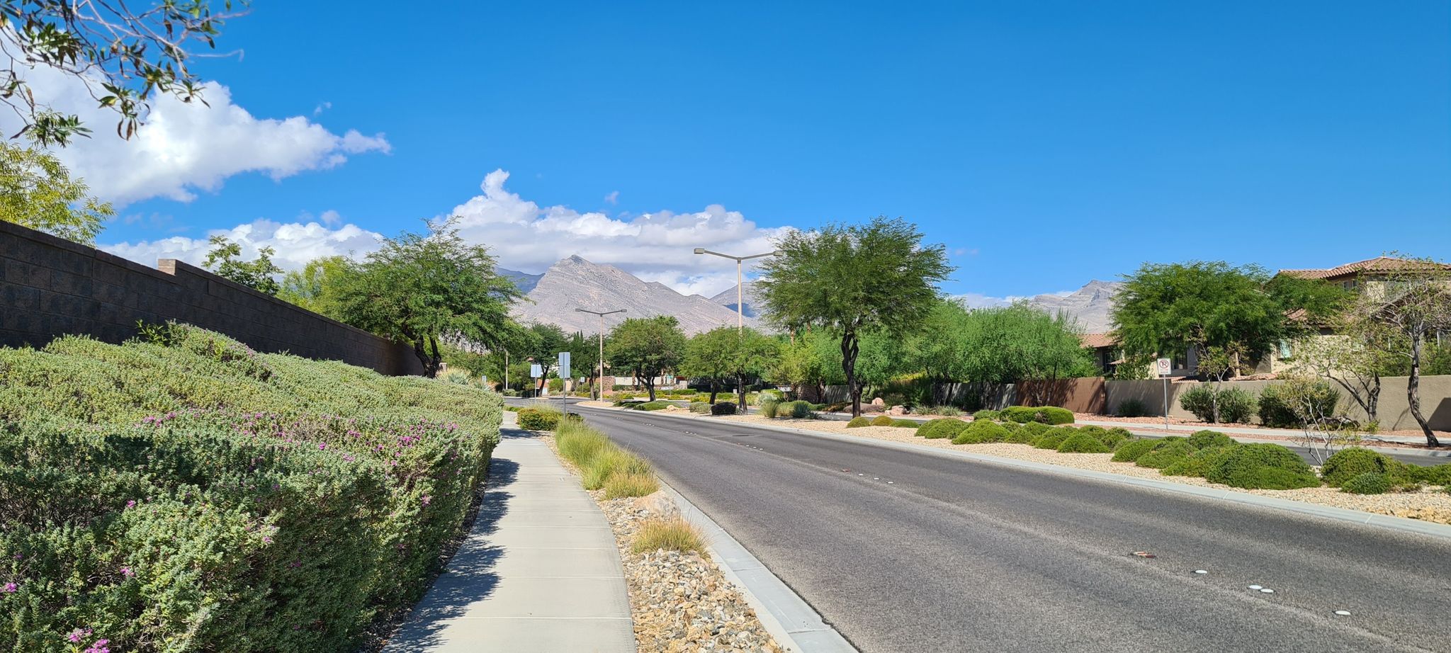 An empty road with desert landscaping, mountains in the distance, bright day. - Tour de Summerlin 20-Mile Course