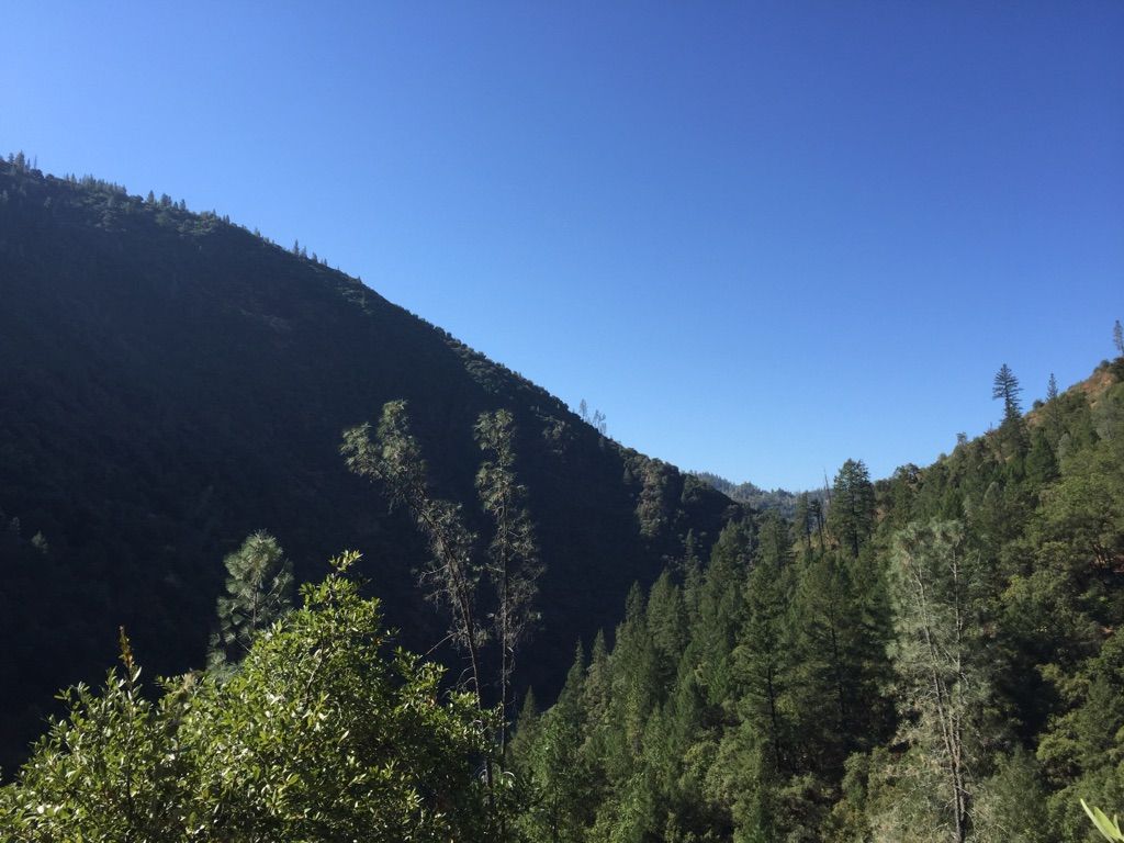 Steep, forested mountainside and valley under a clear, bright blue sky. - Stevens Trail