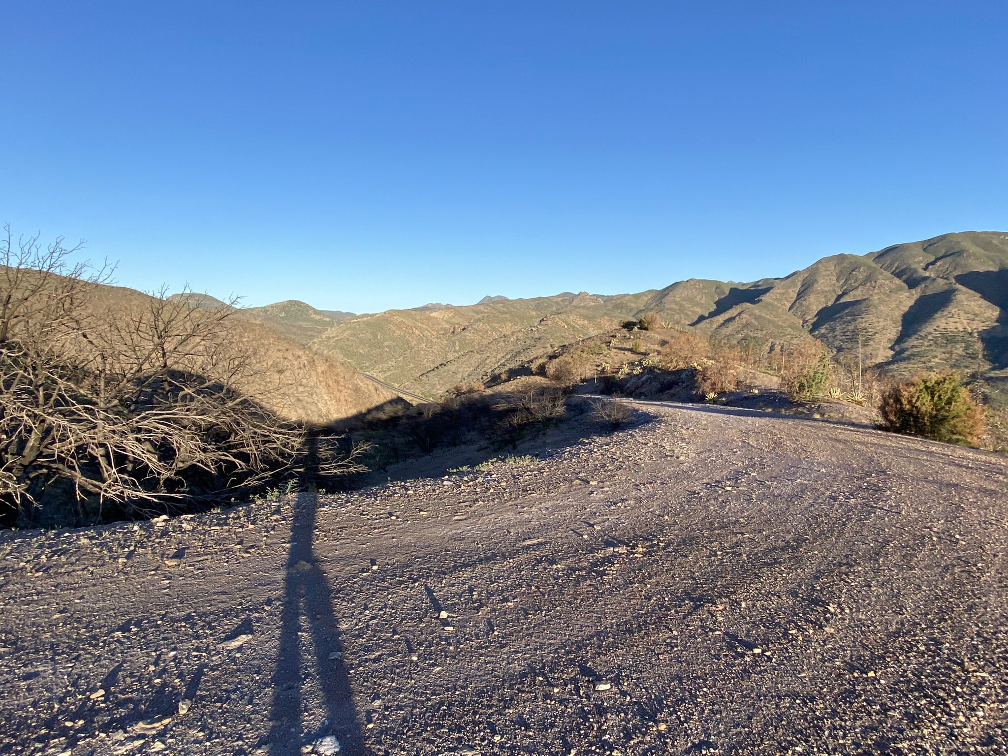 A dirt road winding through sunlit hills with a person's shadow. - Mount Ord Trail