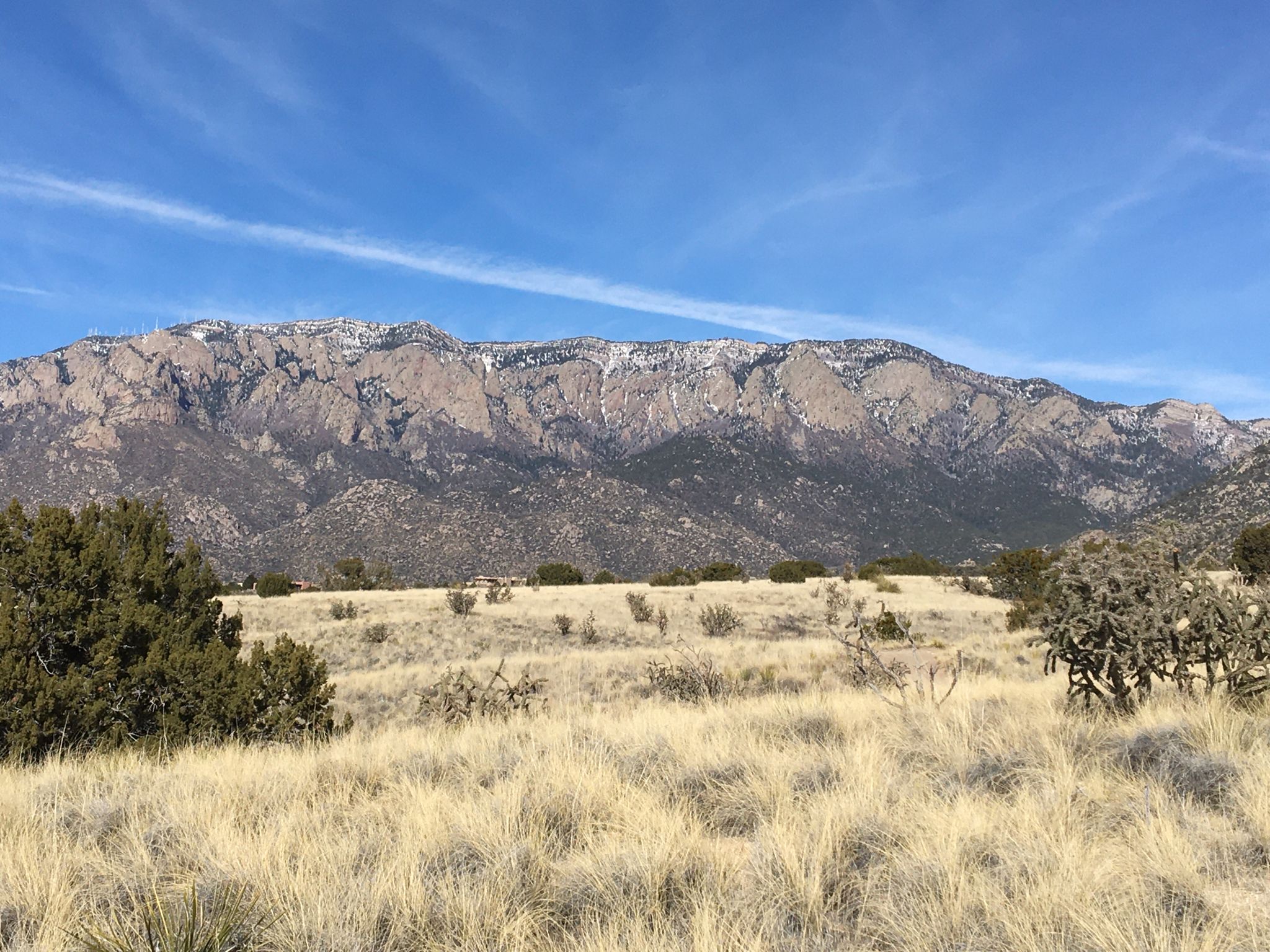 Snow-capped mountains loom over a wide, grassy desert landscape under blue sky. - Michael Emery and Bear Canyon Loop