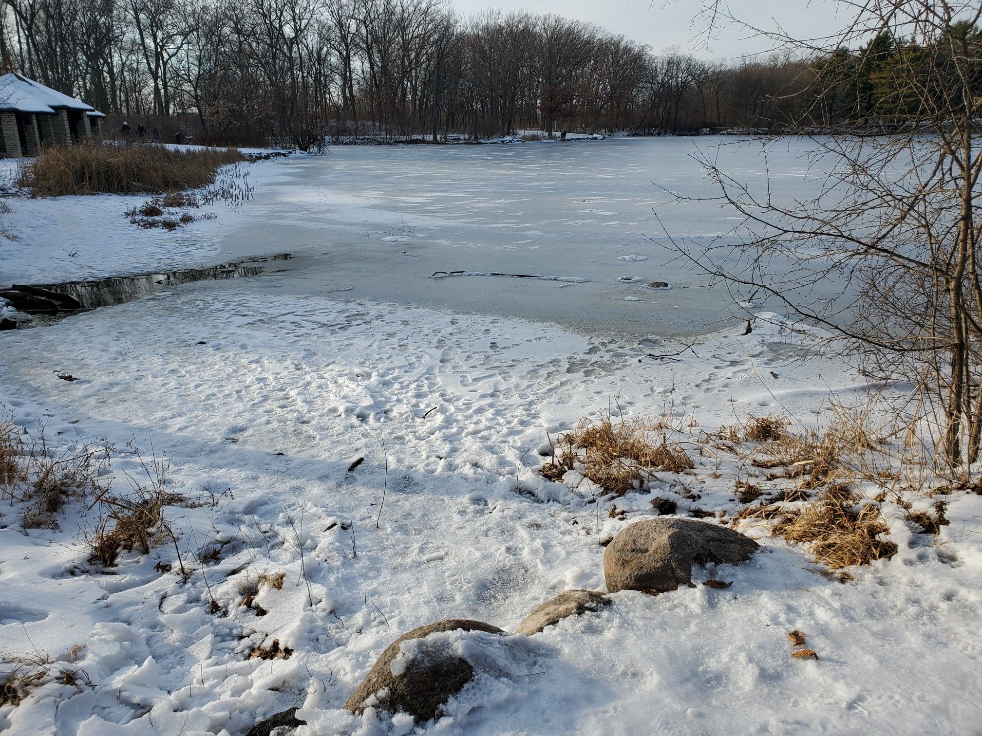 A frozen lake and snow-covered ground with bare trees under bright sunlight. - Green Heron and Danada-Herrick Lake Regional Trail Loop