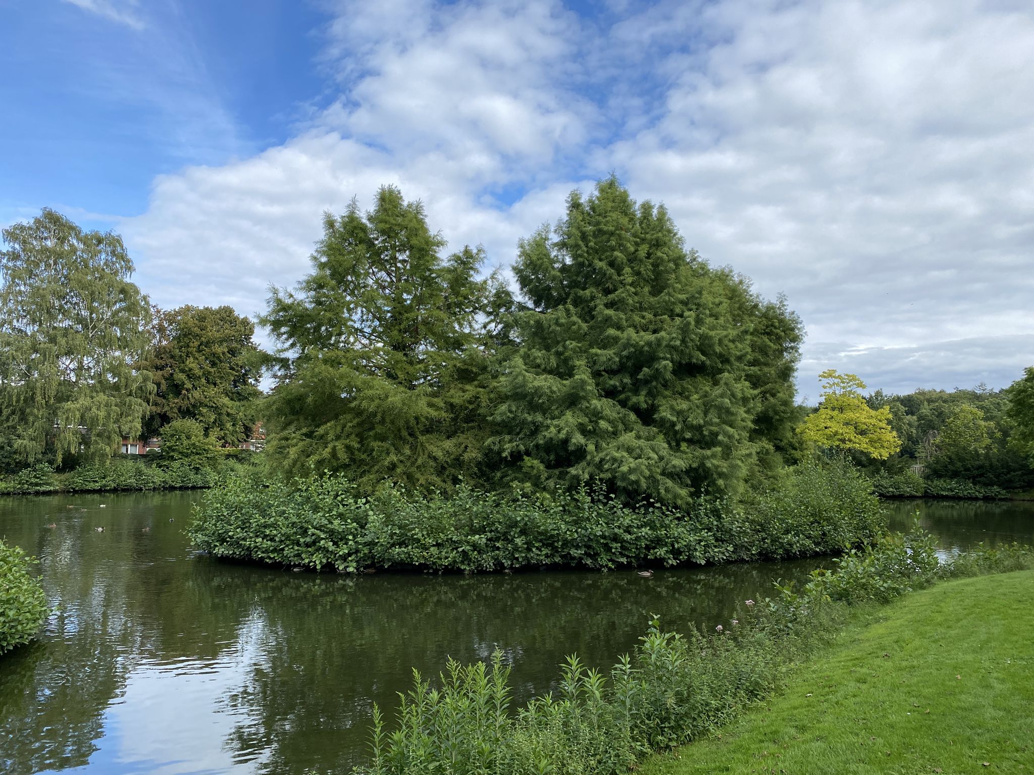 Teiche im schönen Stadtpark