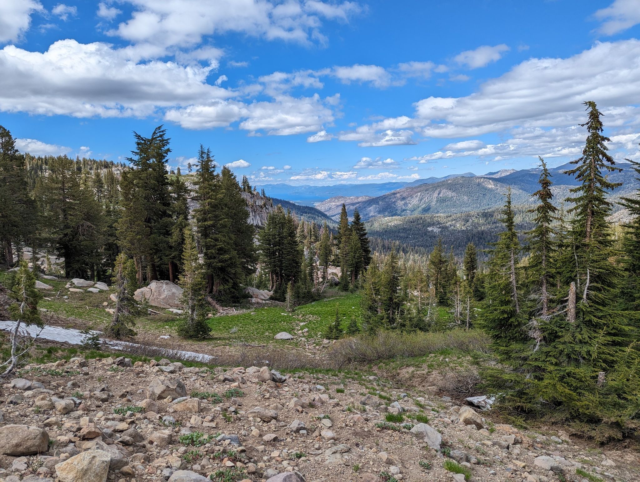 Mountain landscape with pine trees, green meadow, and distant peaks under cloudy sky. - Tahoe Rim Trail: Big Meadow to Echo Lake