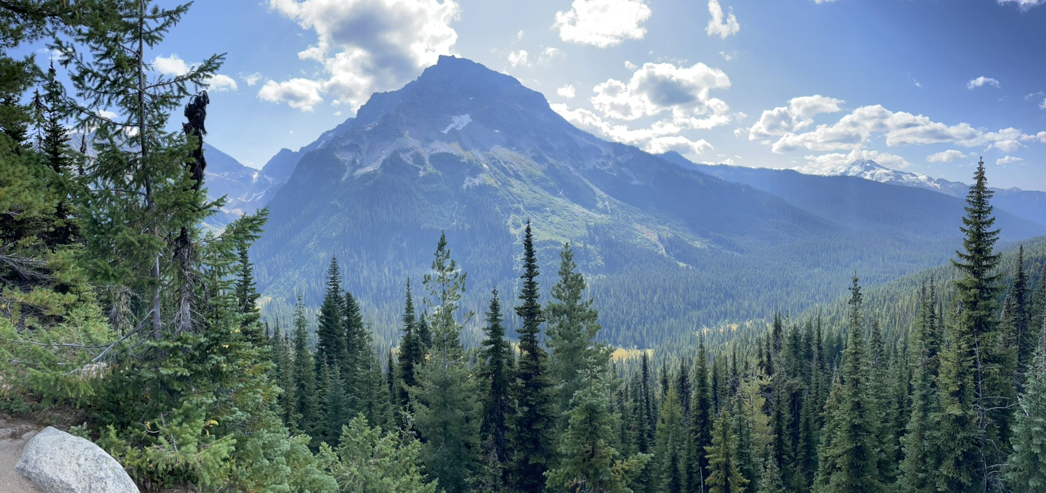 A panoramic view of a majestic mountain peak above a dense evergreen forest. - Spider Gap - Buck Creek Pass Loop